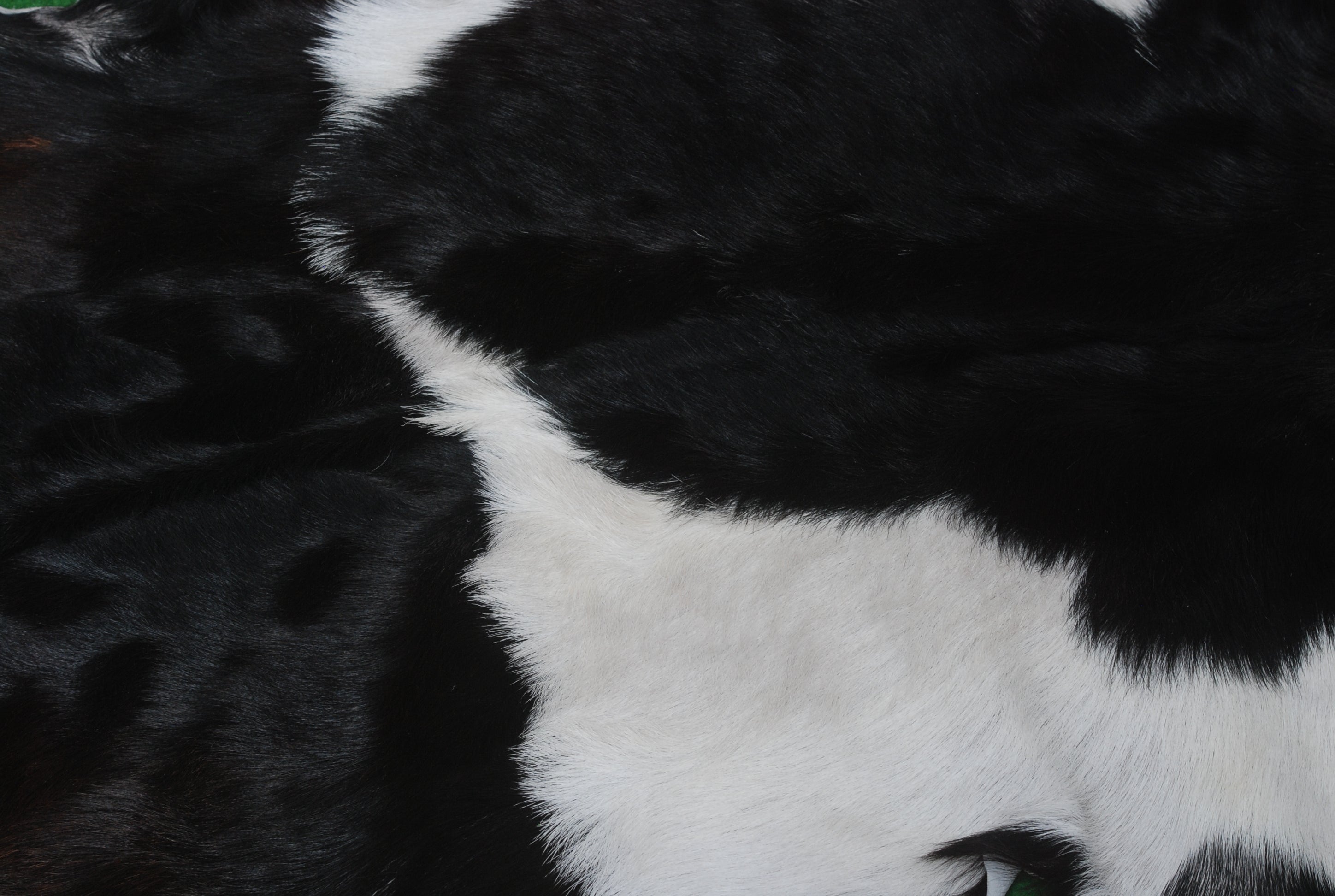 Hair-On Goat Skin Rug - Black and White Design for Unique Living Spaces