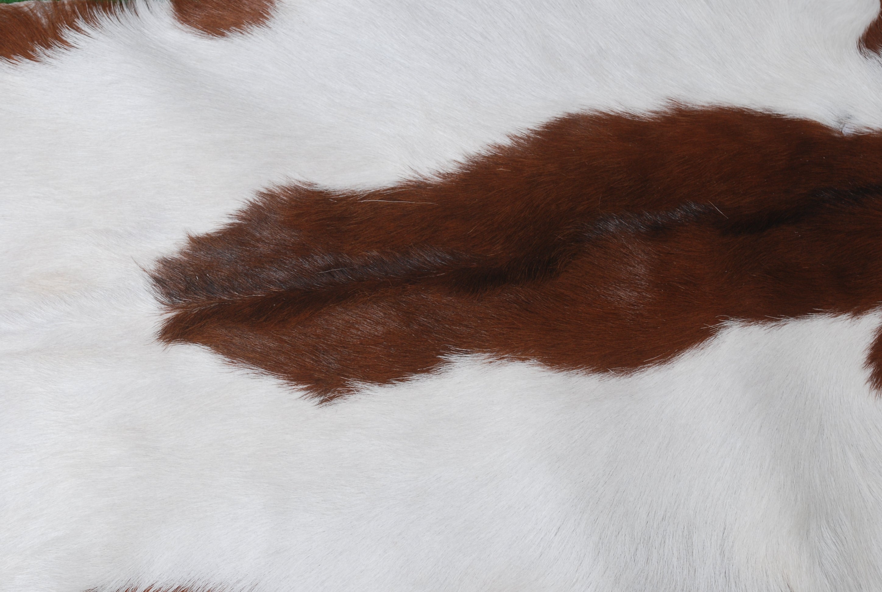 Luxury Brown and White Goat Hide Rug - Premium Hair-on Goatskin Rug - Eco-Friendly and Handcrafted - Hypoallergenic - Non-Slip Suede Back