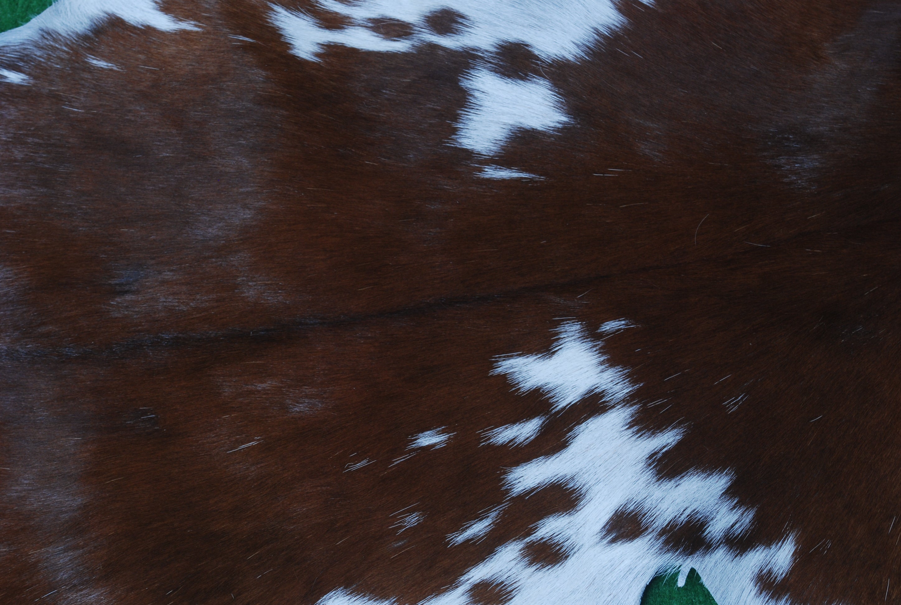 Authentic Dark Brown Goat Hide Rug - Unique Pattern for Modern and Classic Décor