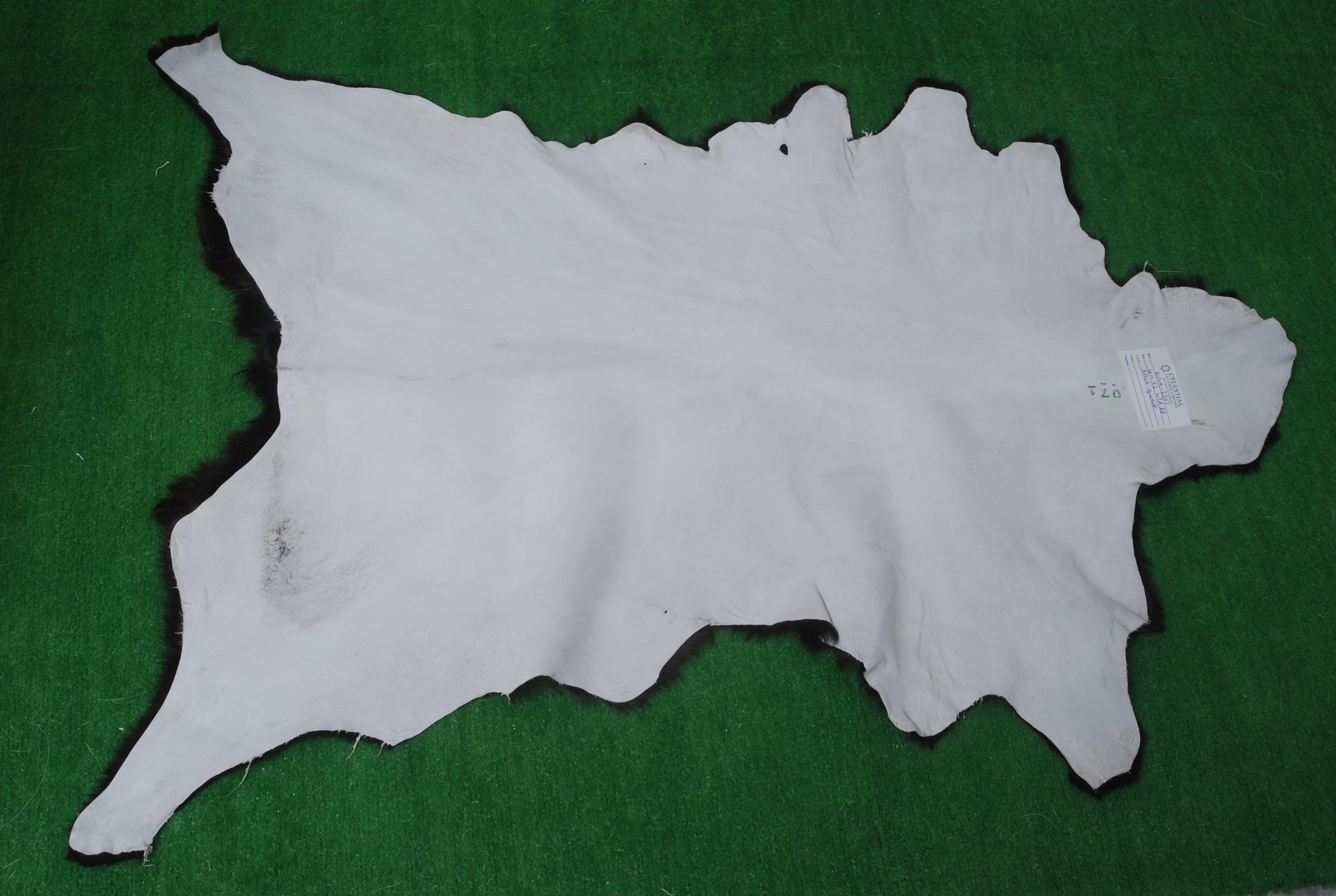 Statement-Making Black & White Goat Hide Rug - Premium Hair-On Goatskin - Modern Sophistication - Natural, Kid - Pet-Friendly