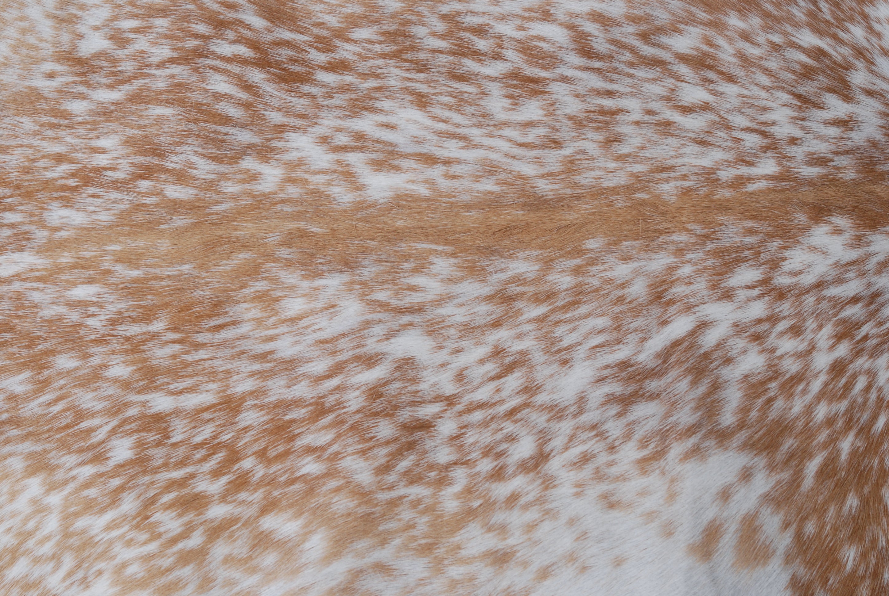 Rustic Brown and White Goat Skin Rug - Unique Pattern for Modern and Classic Décor