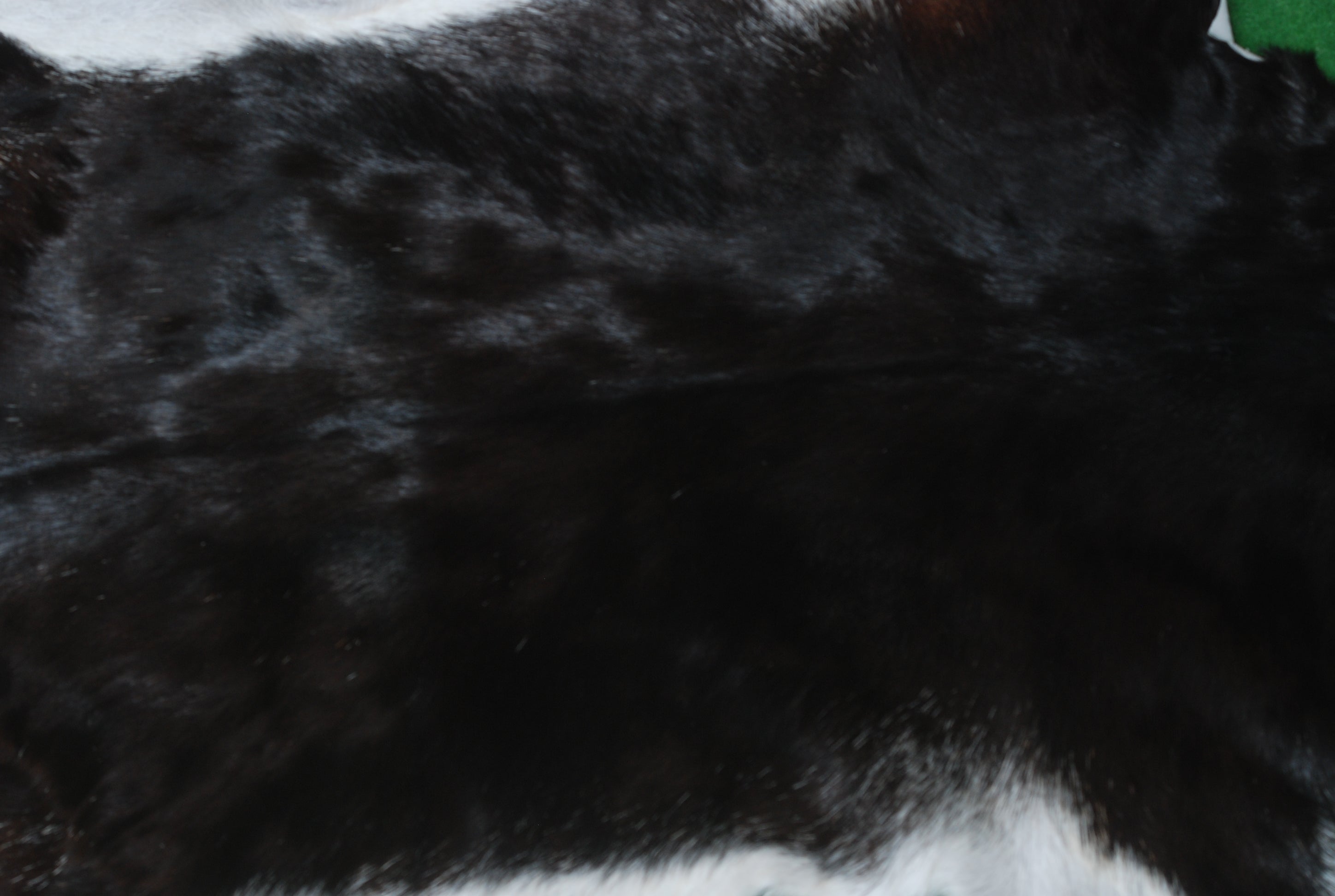 Goat Skin Rug, Black and white Handpicked for Quality, Unique Piece for Sale, Fast UK Delivery