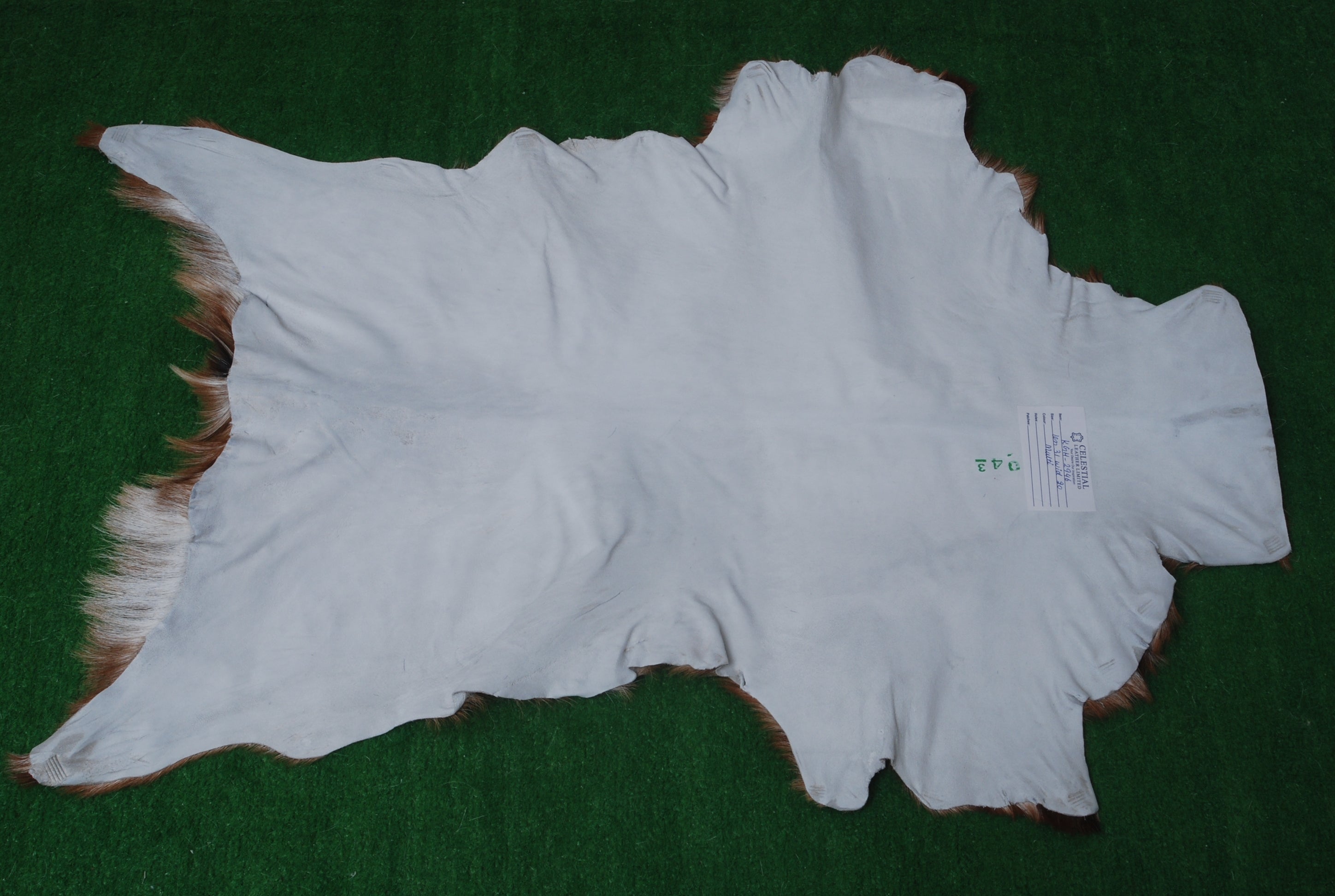 Goat Skin Rug: Tri-Color genuine Goat hide rug