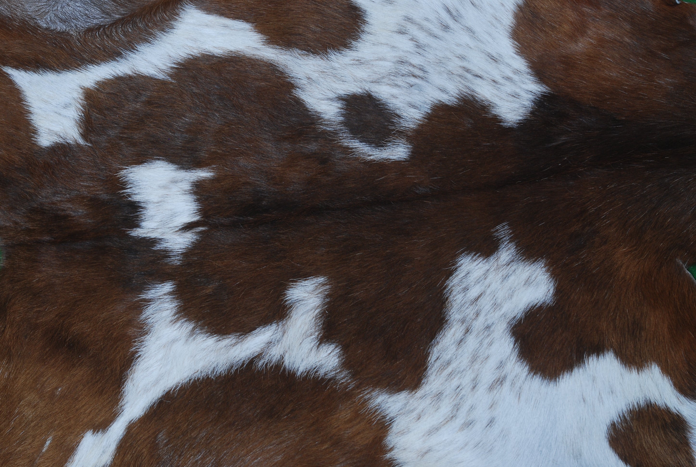 Luxurious Handmade Dark Brown & White Goat Skin Rug - Soft, Durable, Non-Shedding, Eco-Friendly - Unique Statement Piece for Home Décor - Celestial Leather Limited