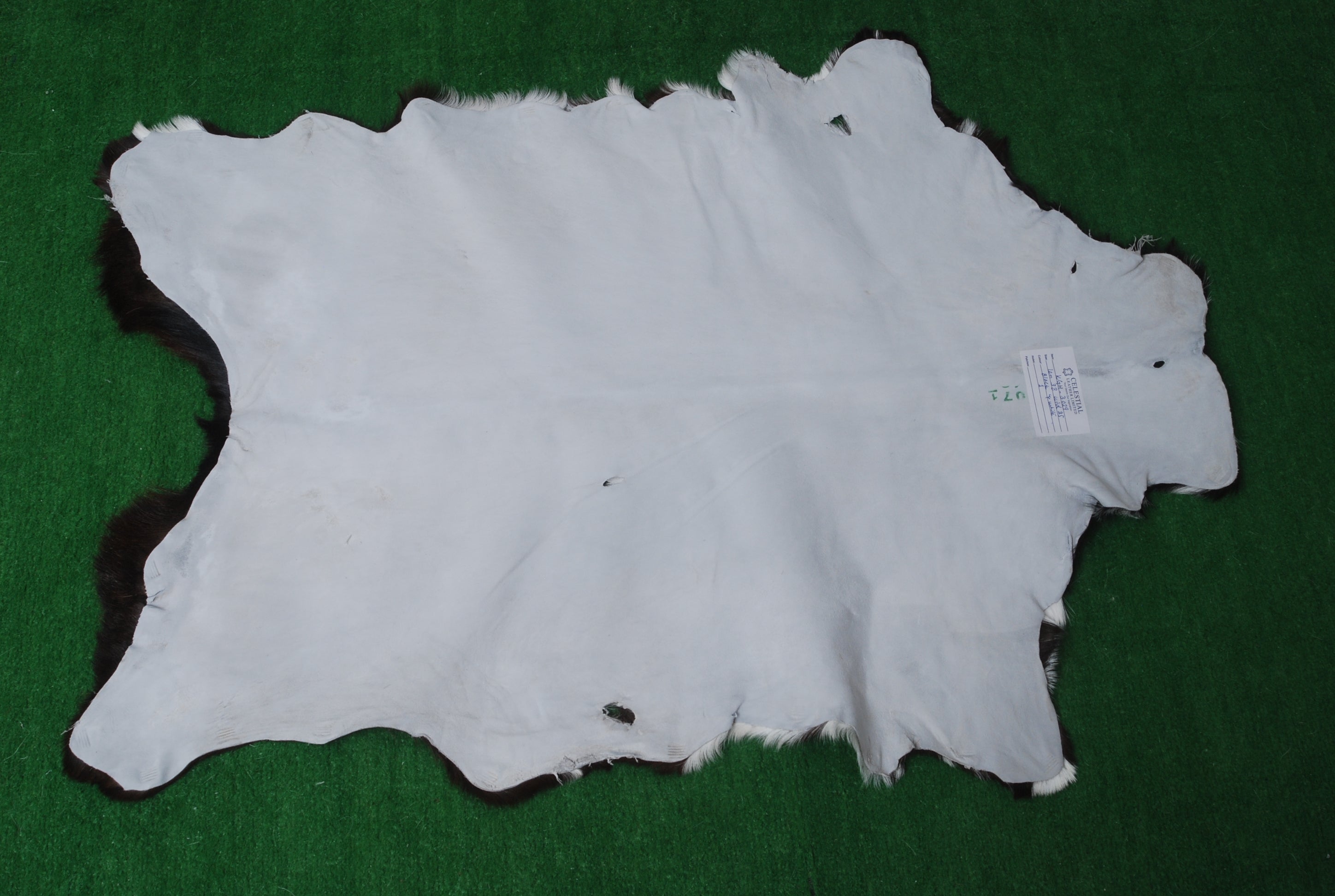 Luxury Black & White Goat Skin Rug Wall Decor - Natural Hair On Leather, Soft and Hypoallergenic - Sustainable Eco-Friendly Home Accent - Celestial Leather Limited