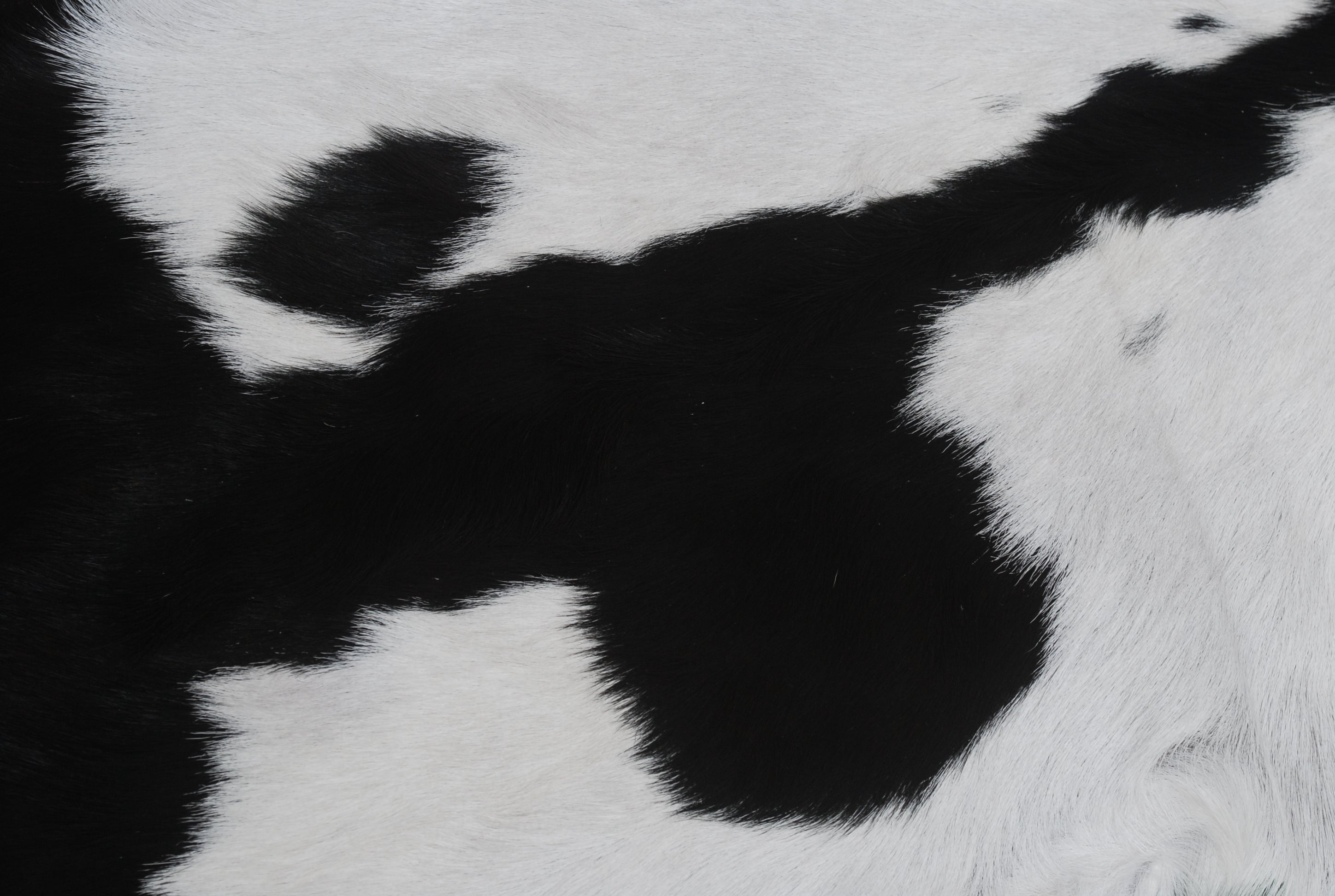 Goat Skin Rug, Black and white Handpicked for Quality, Unique Piece for Sale, Fast UK Delivery