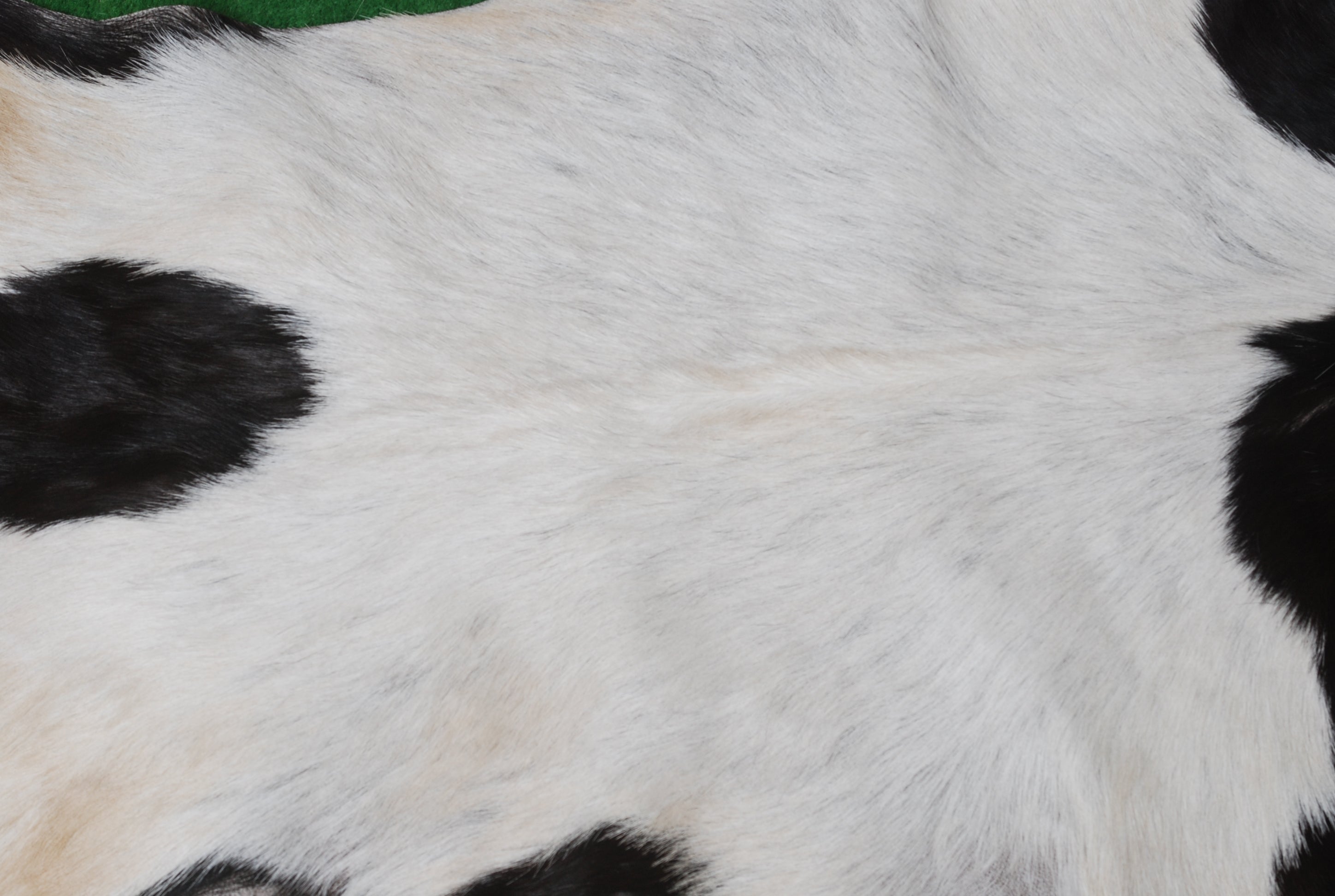 Luxurious Black and White Goat Skin Rug - Natural Hair-On Leather for Home Styling