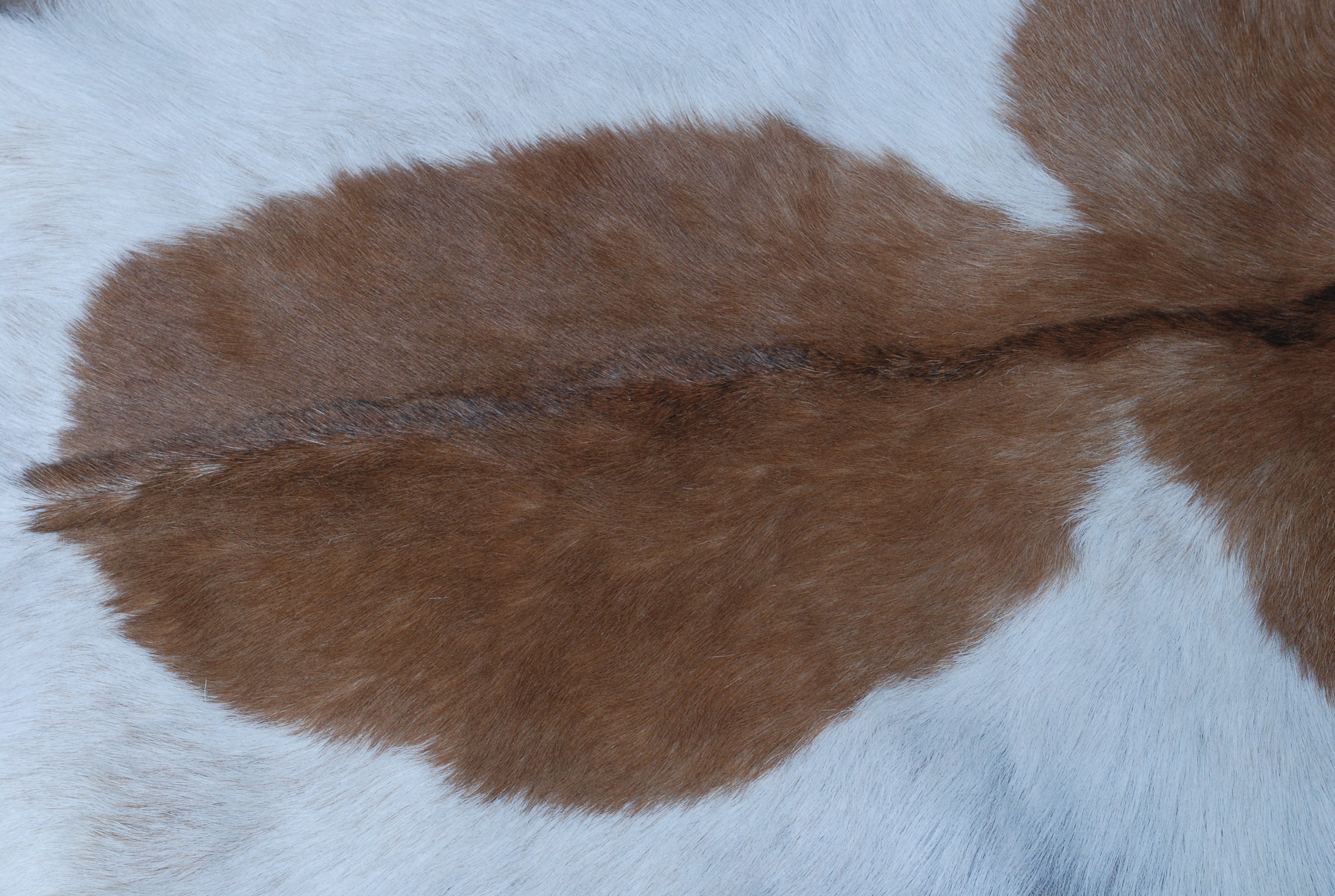 Luxury Brown & White  Goat Skin Rug - Handmade 100% Pure Goat Skin - Soft, Non-Shedding, Sustainable & Unique - Eco-Friendly Floor Rug - Celestial Leather Limited