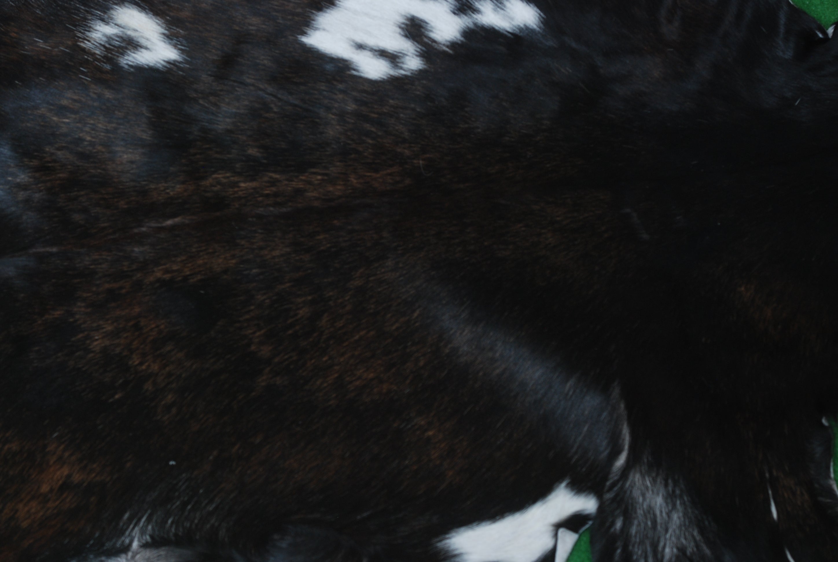 Luxurious Black & White Goat Skin Rug - Handmade, Soft & Hypoallergenic - Eco-friendly, Non-shedding, Unique Art Piece for Home Décor