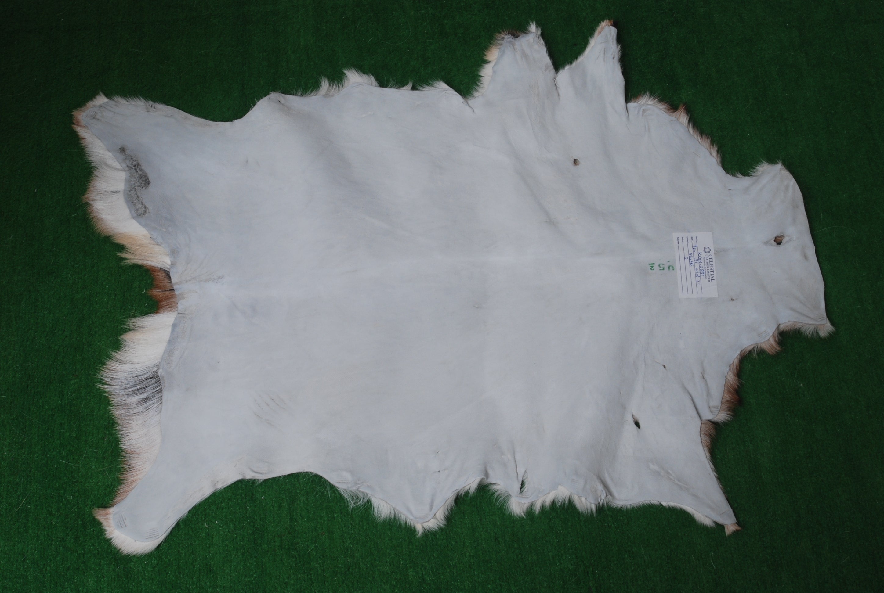 Luxurious Dark Brown & White Goat Skin Rug - Handmade Eco-Friendly Natural Goat Skin Floor Rug with Unique Colour Variations & Soft Texture