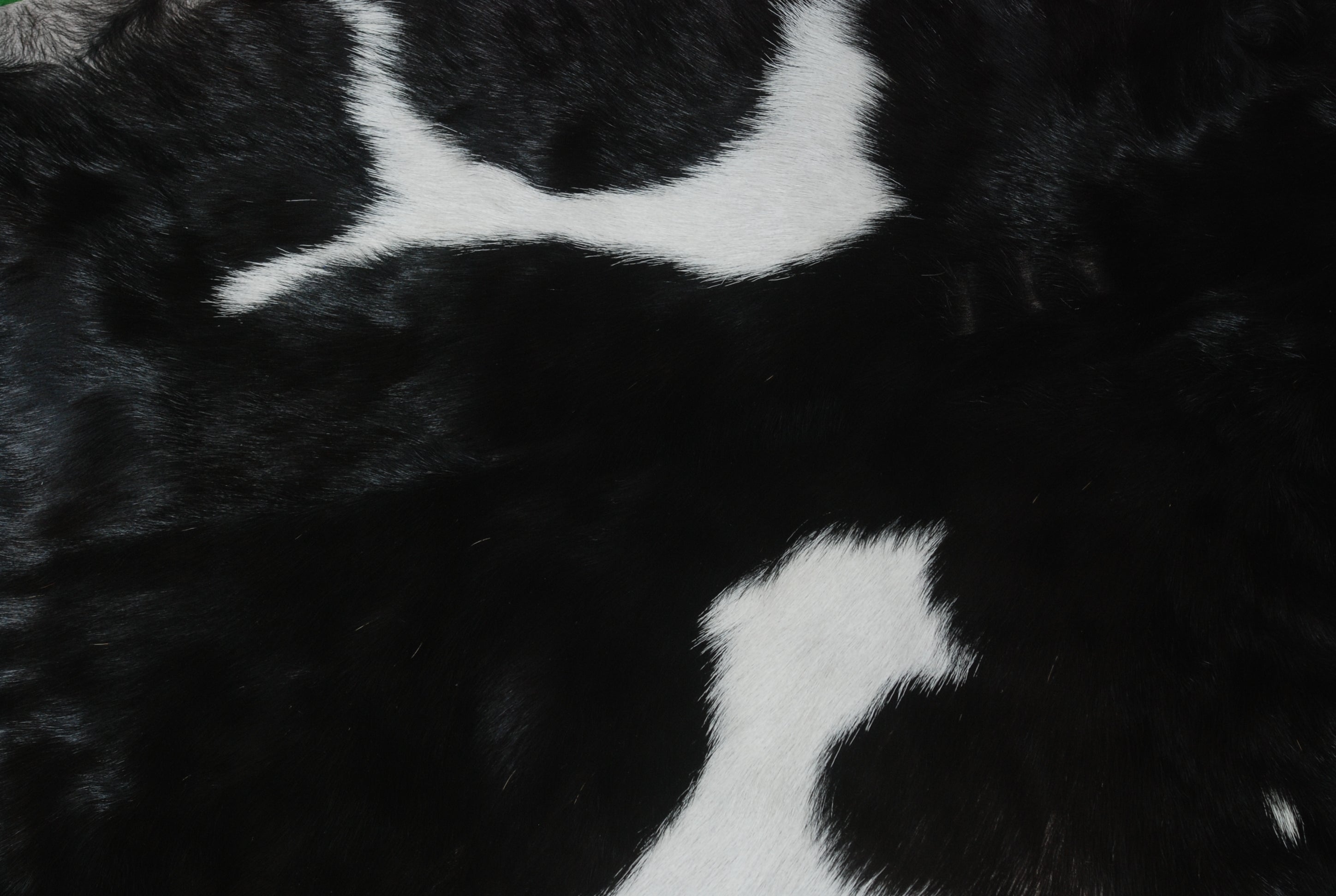 Luxury Handmade Black & White Goat Skin Rug with Unique Colour Variations - Soft, Durable, Hypoallergenic, and Eco-Friendly - Celestial Leather Limited
