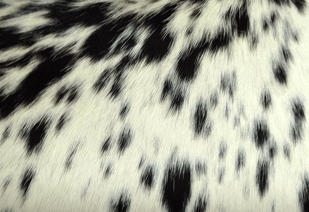 Genuine Leather Cowhide Cushion Cover - Stylish Home Décor Accent Made from Exotic Animal Skin - Eco-Friendly Hairy Cushion Cover