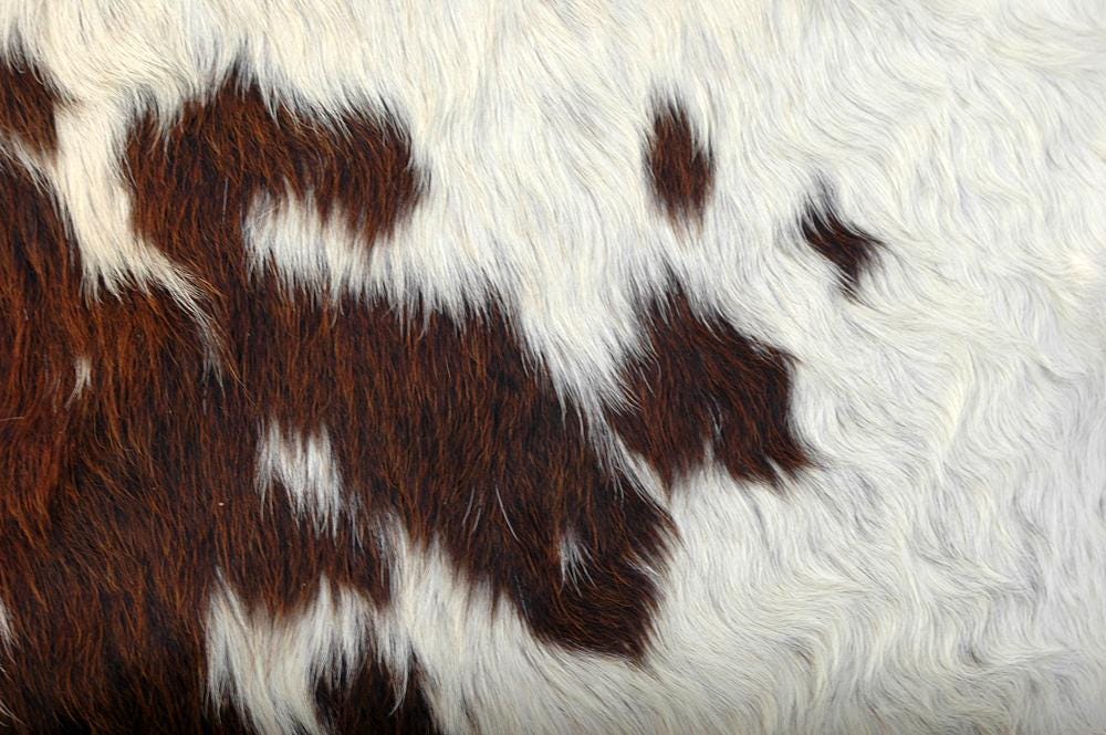 Rustic Eco-Friendly Cowhide Cushion Cover - Genuine Leather Hair-on Animal Skin Square Pillow Case - Home Decor Exotic Leather Accent