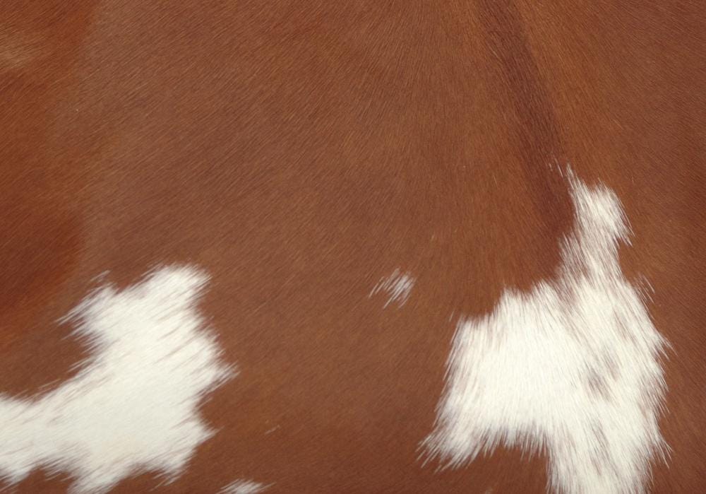 Luxurious Handmade Brown and White Cowhide Cushion Cover with Hidden Zipper