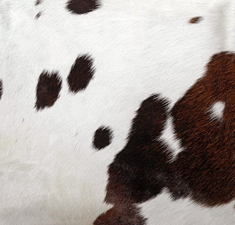 Rustic Elegance: Handcrafted Black & White Cowhide Cushion Cover with Faux Leather Back - Unique Patterns, Luxurious Comfort - Durable Build