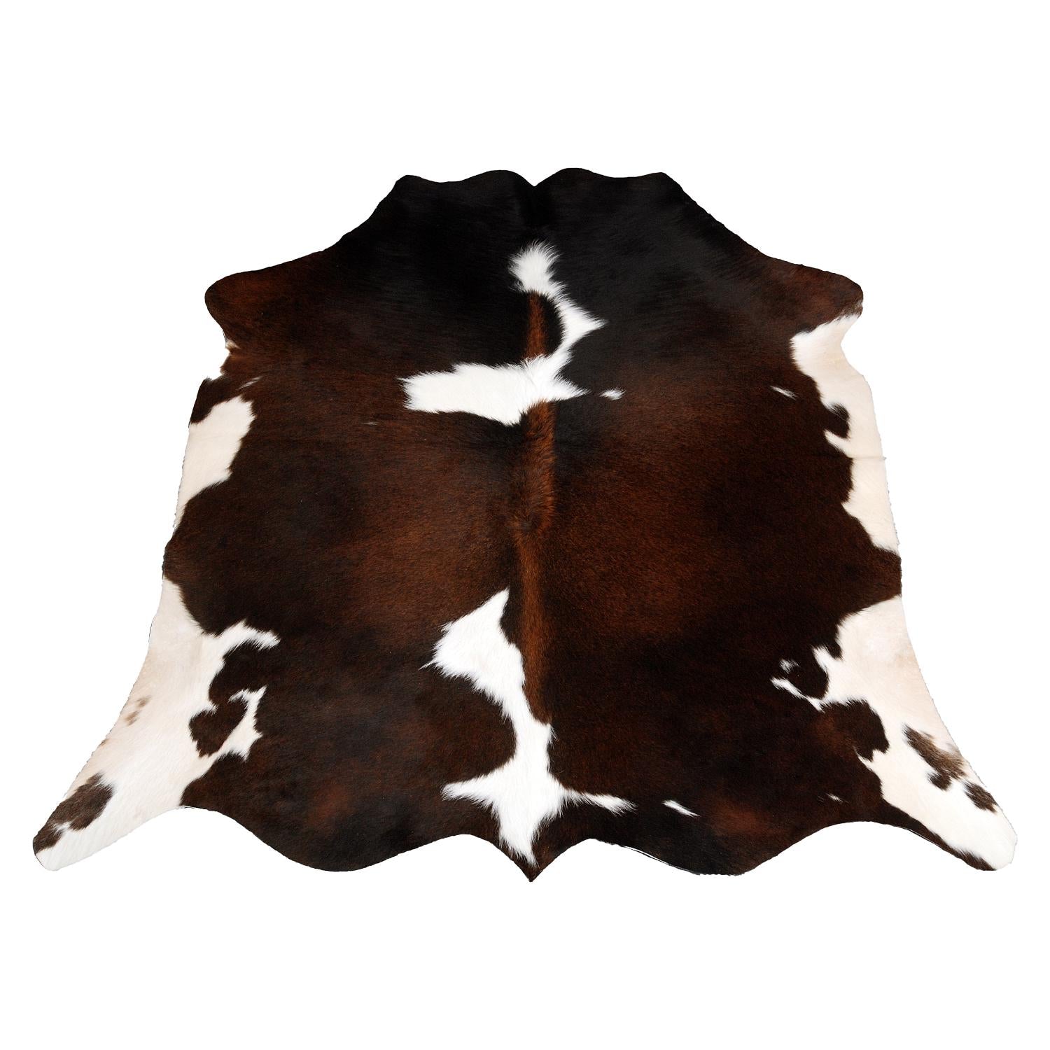 Handmade Multicolour Cowhide Rug with Animal Print | Small Size | Hypoallergenic & Non-Slip | Luxurious Comfort for Home Décor