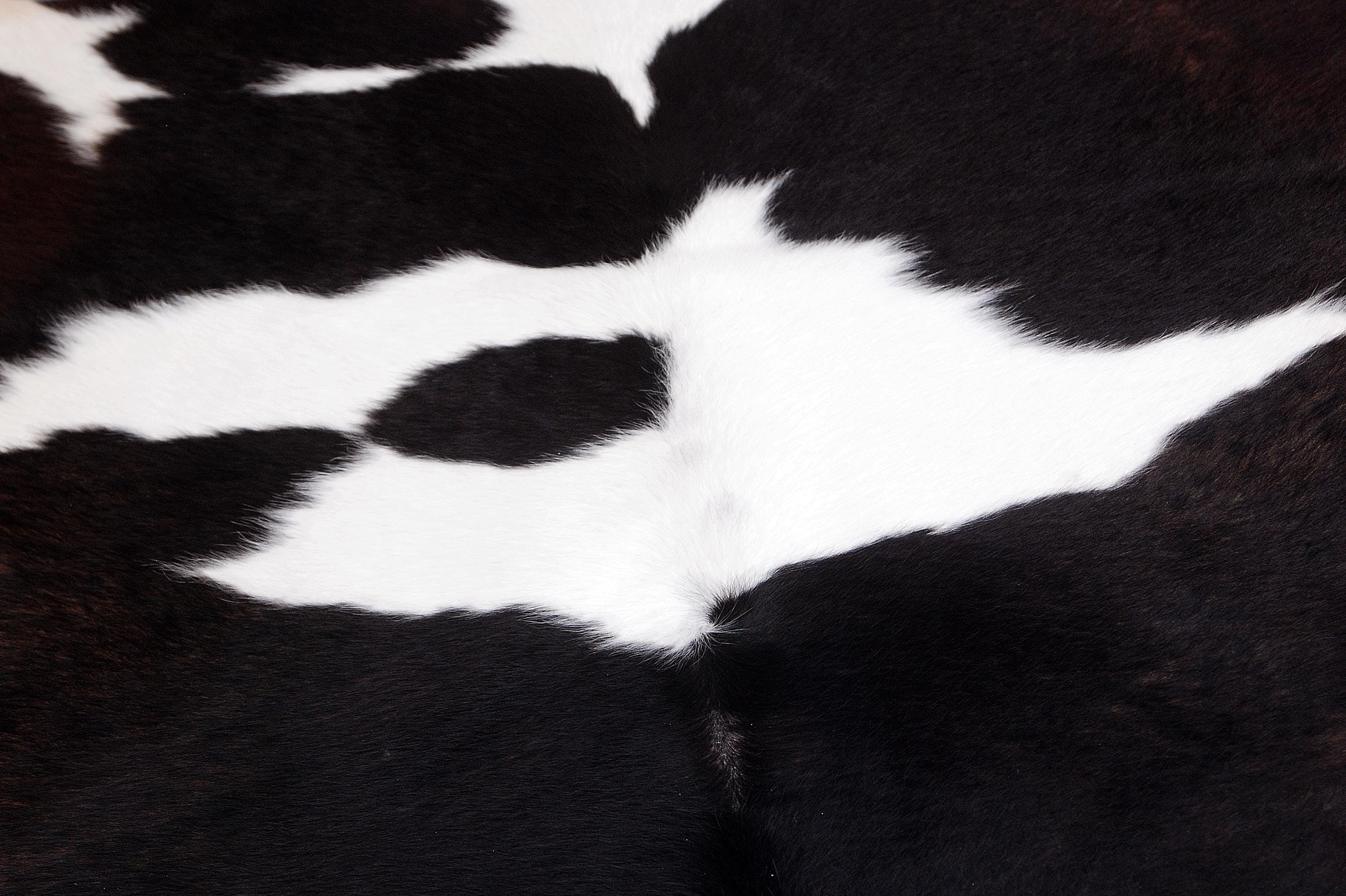 Handcrafted Multicolour Cowhide Rug | Hypoallergenic Small Area Rug with Animal Print | Non-Shedding, Non-Slippery Suede Back | Free