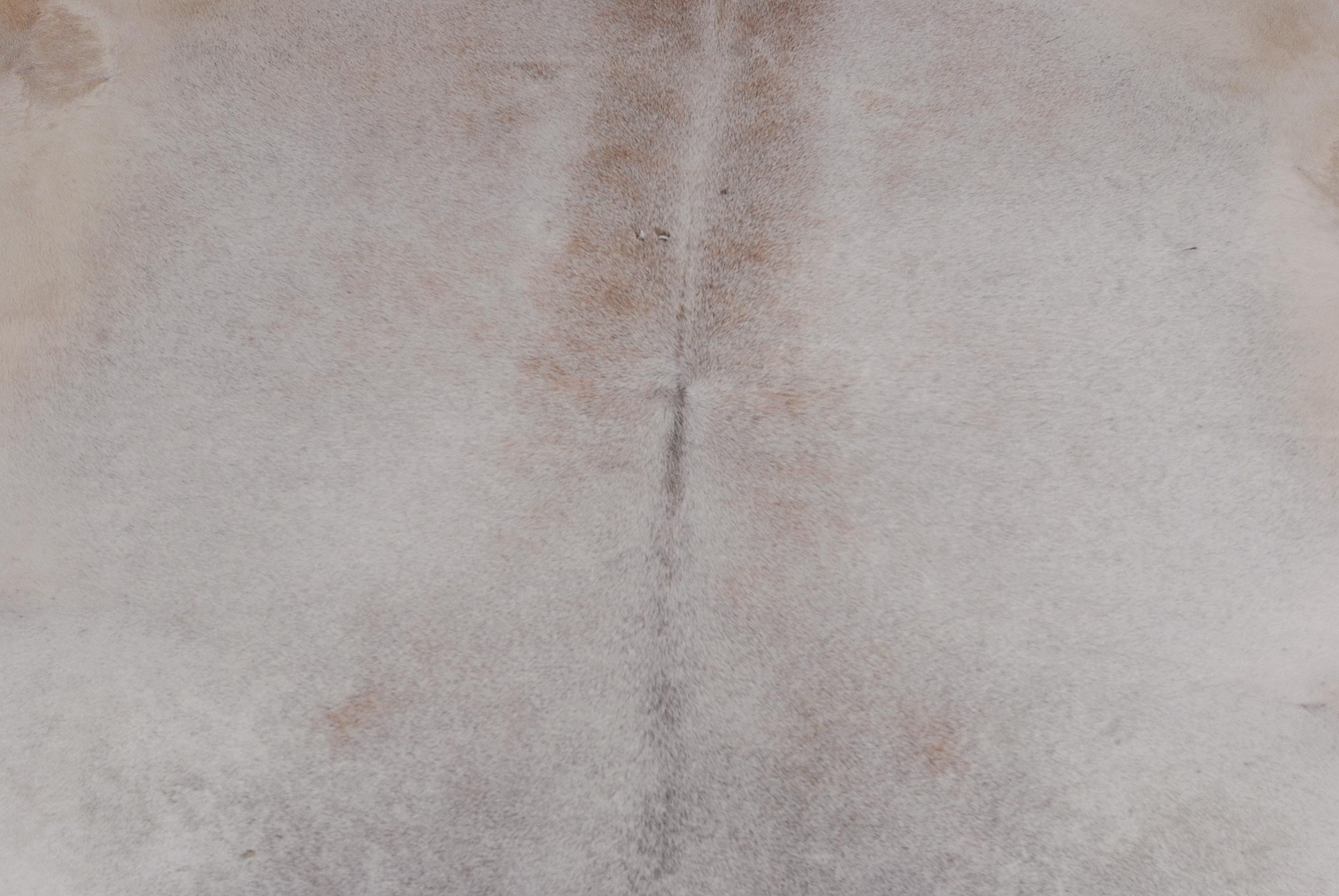 Luxurious Large Multicolour Animal Print Cowhide Rug for Chic Living Spaces