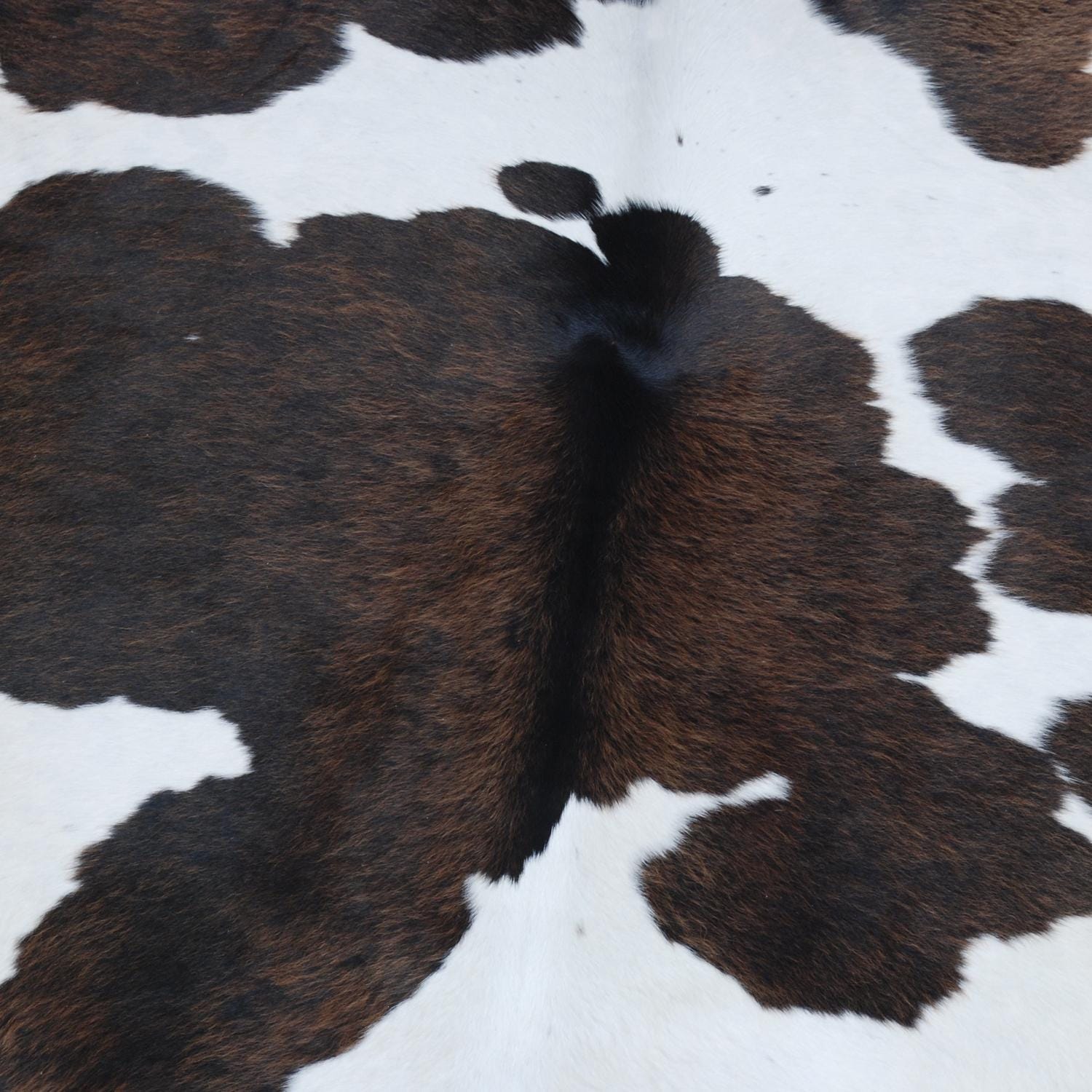 Luxurious Dark Brown & White Cowhide Rug | Medium Size for Modern Home Decor - Warmth | Hypoallergenic - Durable | Handcrafted Natural Hide