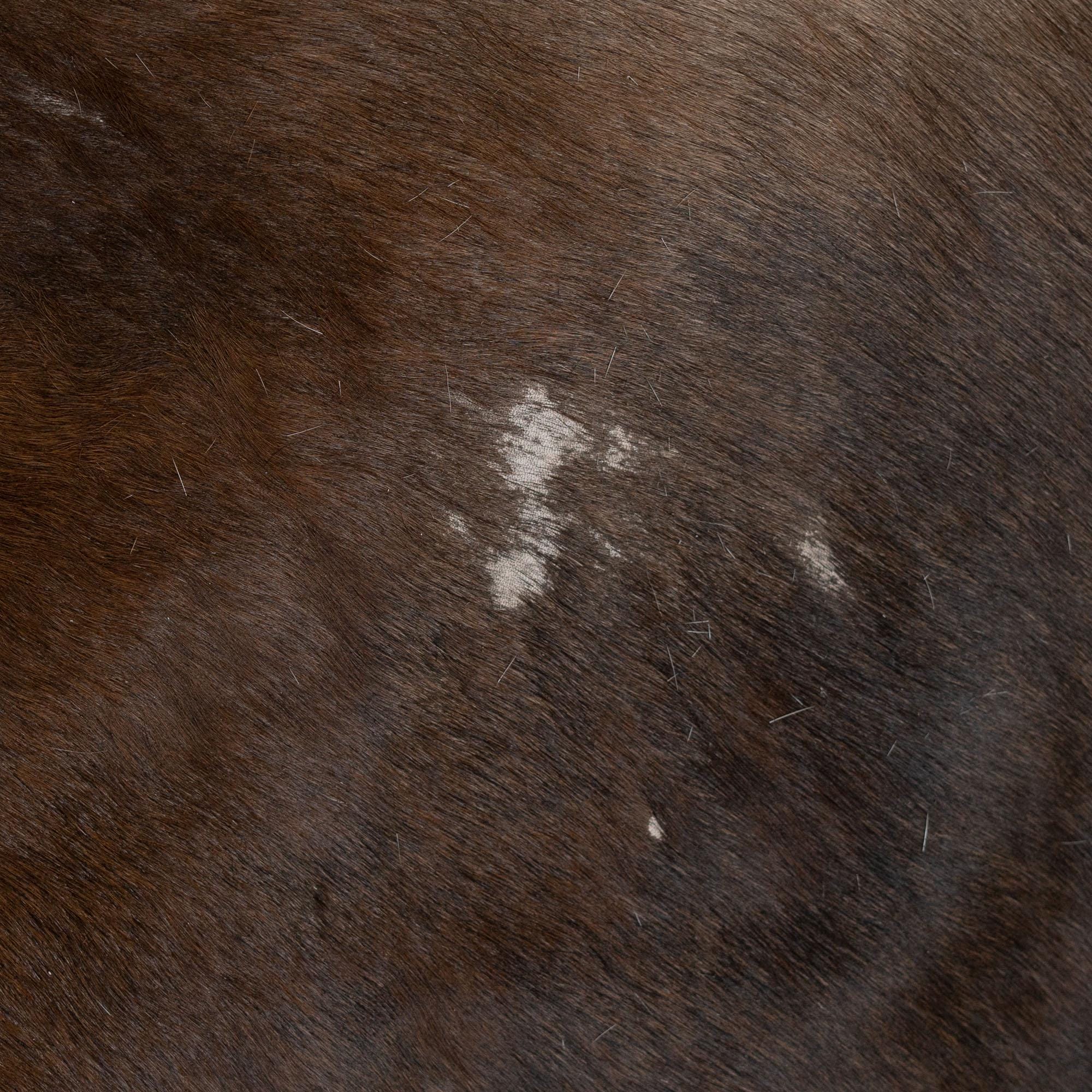 Luxurious Small Animal Print Cowhide Rug - Hypoallergenic, Non-Slip Back, Non-Shedding - Handcrafted Premium Hide - Free Shipping in the UK