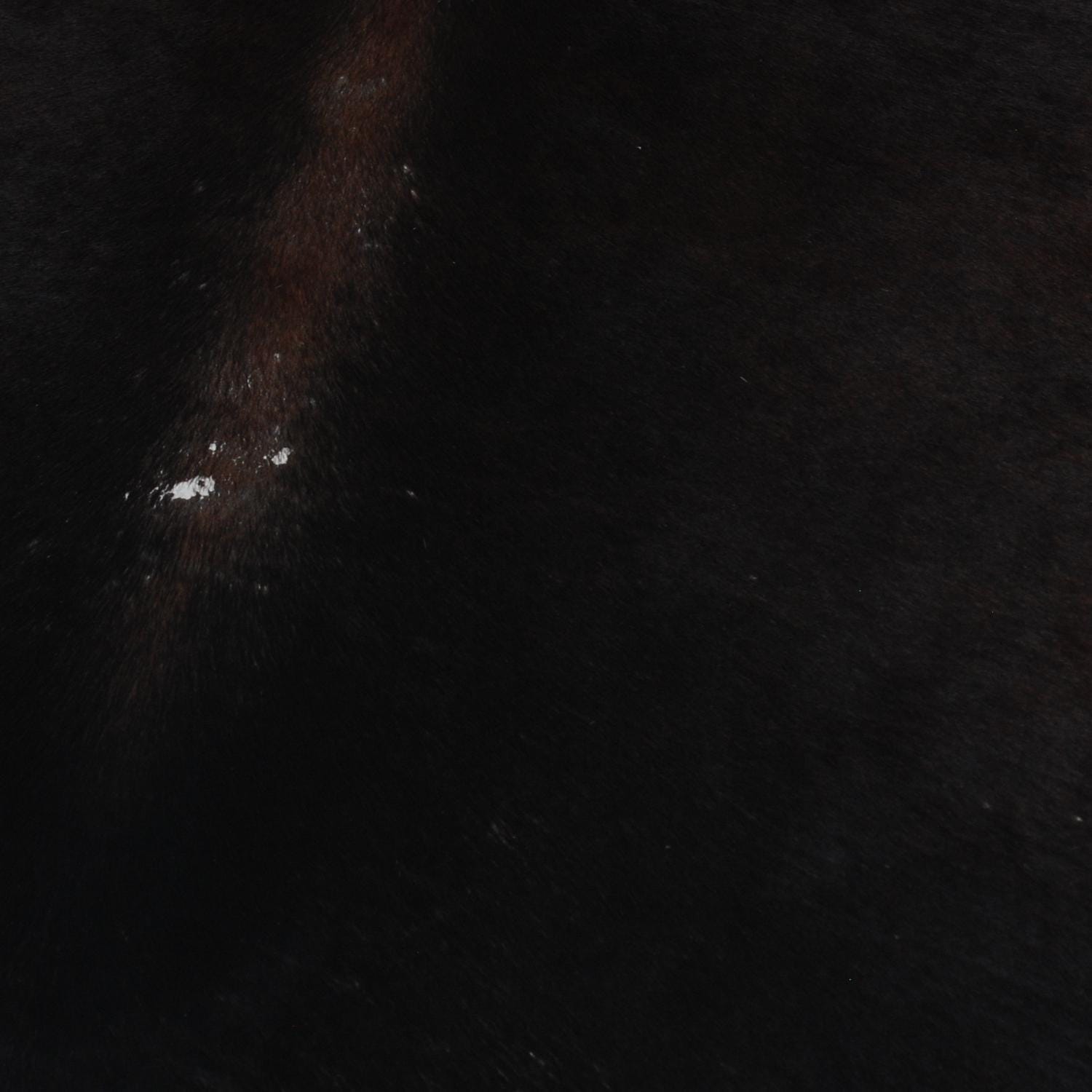 Luxurious Dark Brown & White Cowhide Rug | Hypoallergenic - Non-Slip | Handcrafted Natural Hair-on Hide | Durable - Unique Beauty