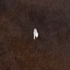 Luxurious Small Brown and White Cowhide Rug with Soft Hair | Hypoallergenic & Non-Shedding | Ideal for Upholstery | Free Shipping in UK