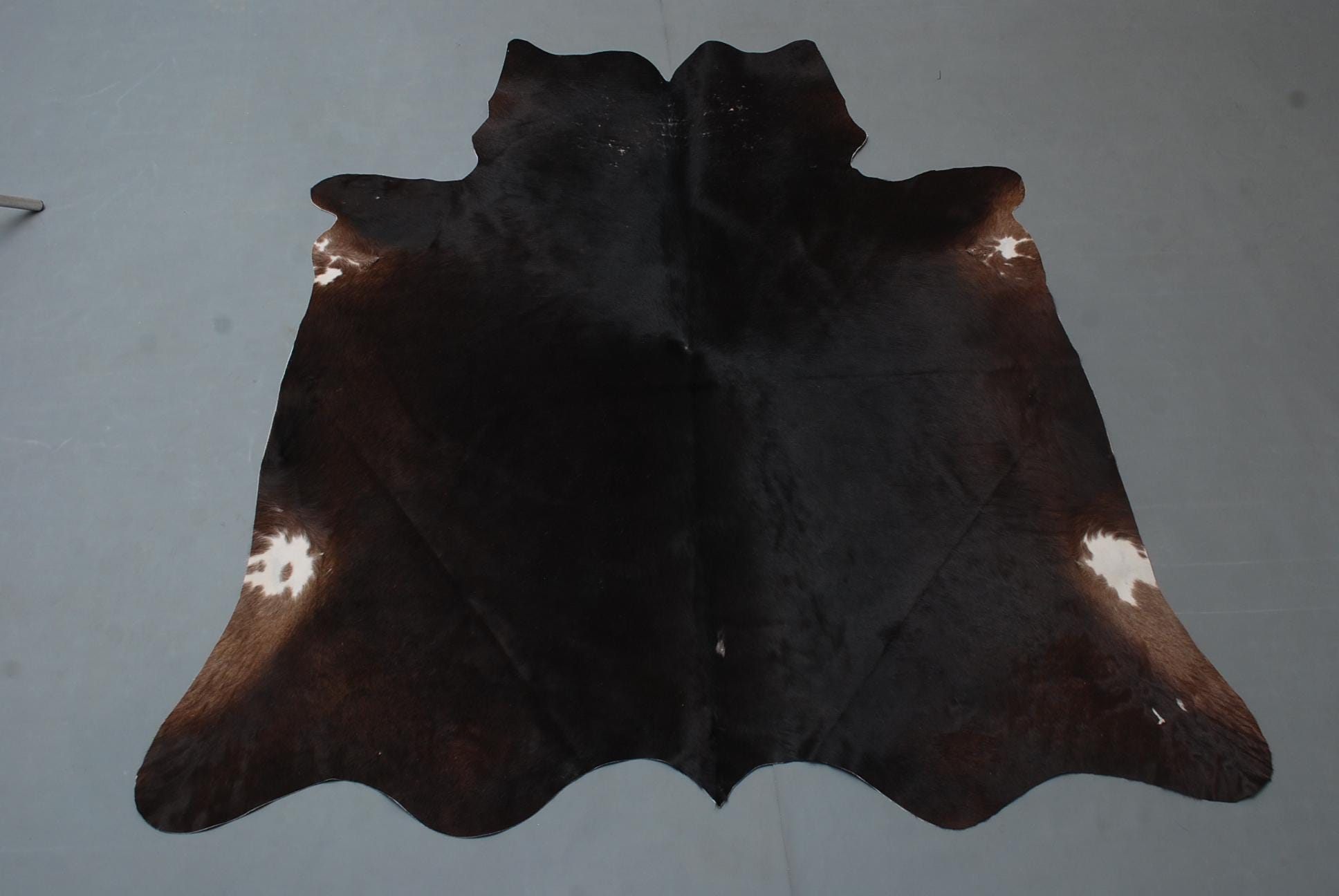 Luxurious Dark Brown & White Cowhide Rug - Hypoallergenic, Non Slip Suede Back, Non Shedding - Hand selected Premium Hides - Free Shipping - Celestial Leather Limited