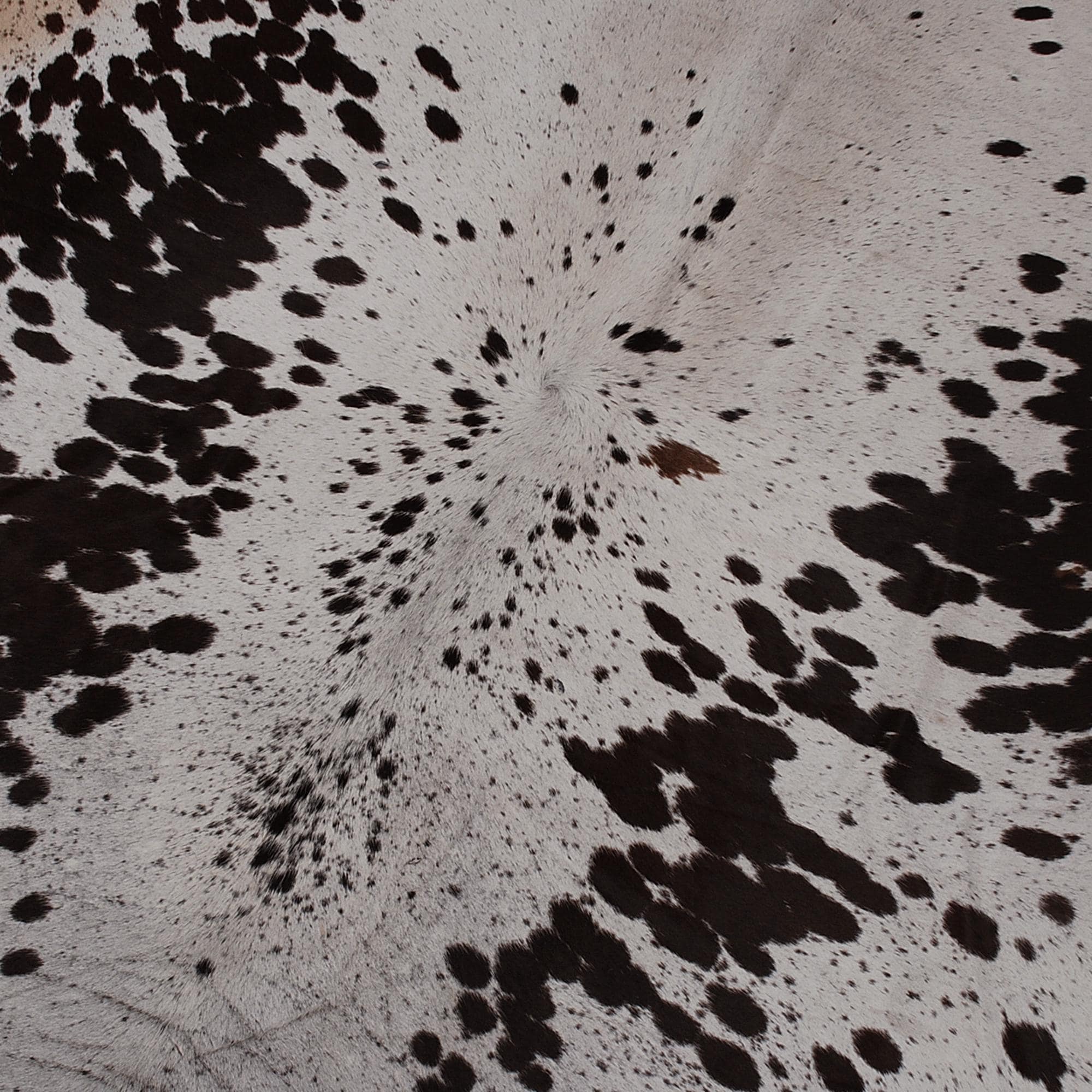 Stunning Dark Brown & White Large Cowhide Rug with Hypoallergenic Suede Back - Luxurious Natural Hair Centerpiece for Lounge - Free UK