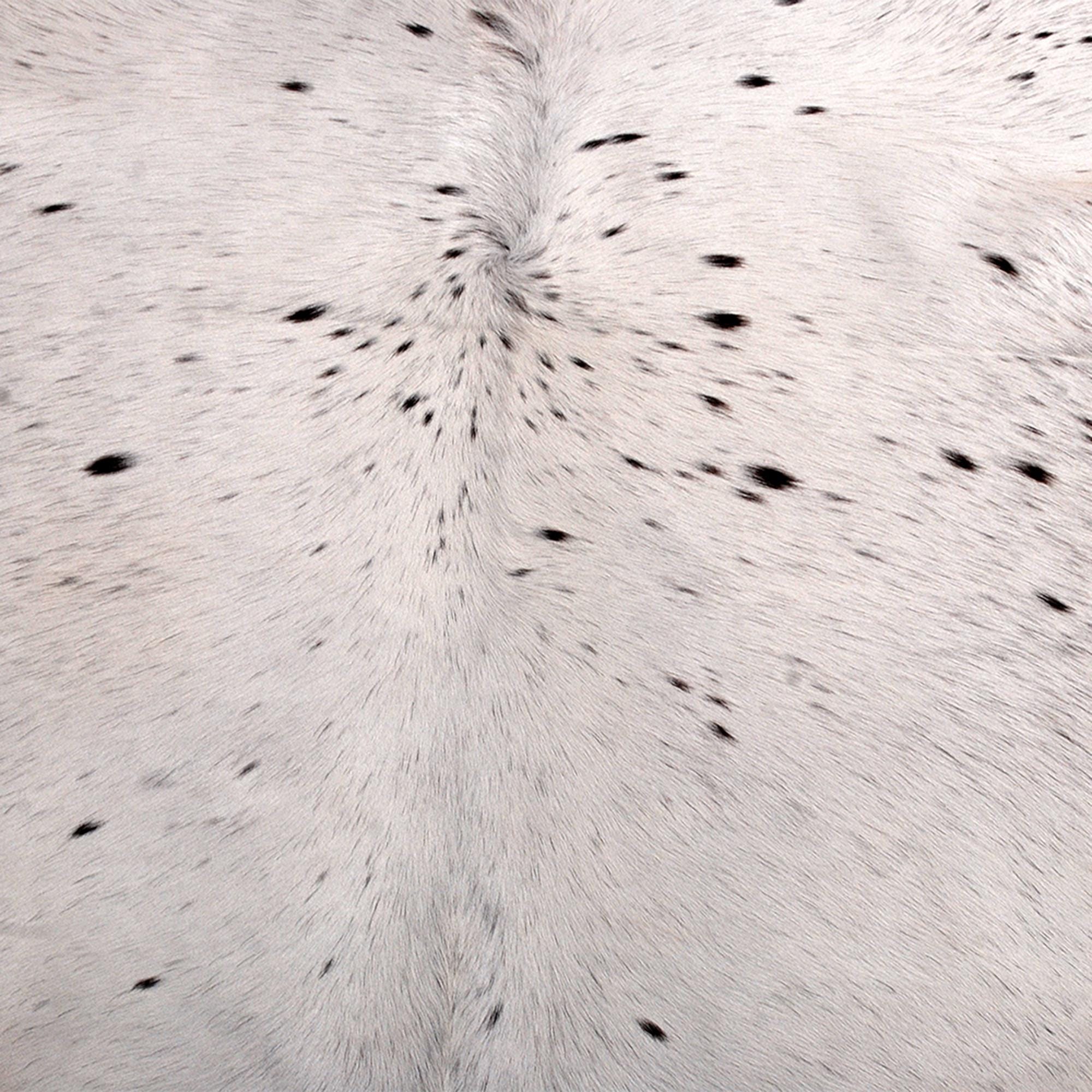 Luxurious Brown & White Cowhide Rug | Large Size | Hypoallergenic - Non-Slip Back | Unique Animal Pattern | Free Shipping