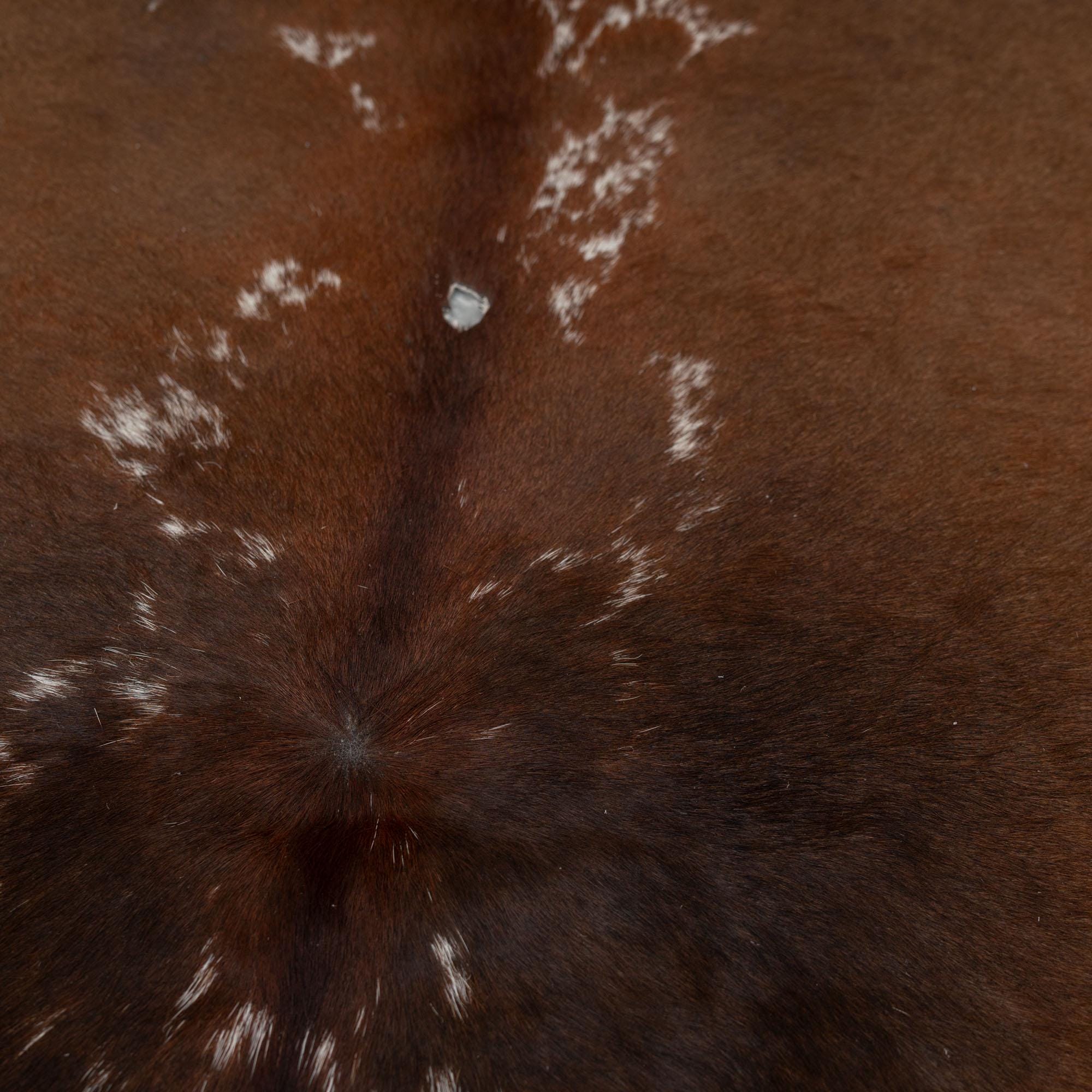 Luxurious Brown & White Cowhide Rug | Large Size for Elegant Home Decor - Hypoallergenic, Non-Slip, Non-Shedding - Free Shipping across UK - Celestial Leather Limited