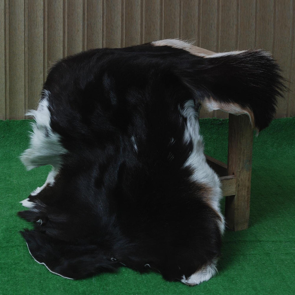 Goat Skin Rug, Goat skin rug ikea, Long Haired Goat Skin Rug, Goat skin rug amazon, Goat skin rug for sale, Best goat skin rug, Goat skin leather, Goat skin rug ikea review, Best goat rug, Fur Rug, Large goat rug ikea, Goat rug ikea price, White goat skin rug ikea, Goat rug ikea, Goat rug amazon, Long Haired Goat Skin Rug, Goat rug for sale