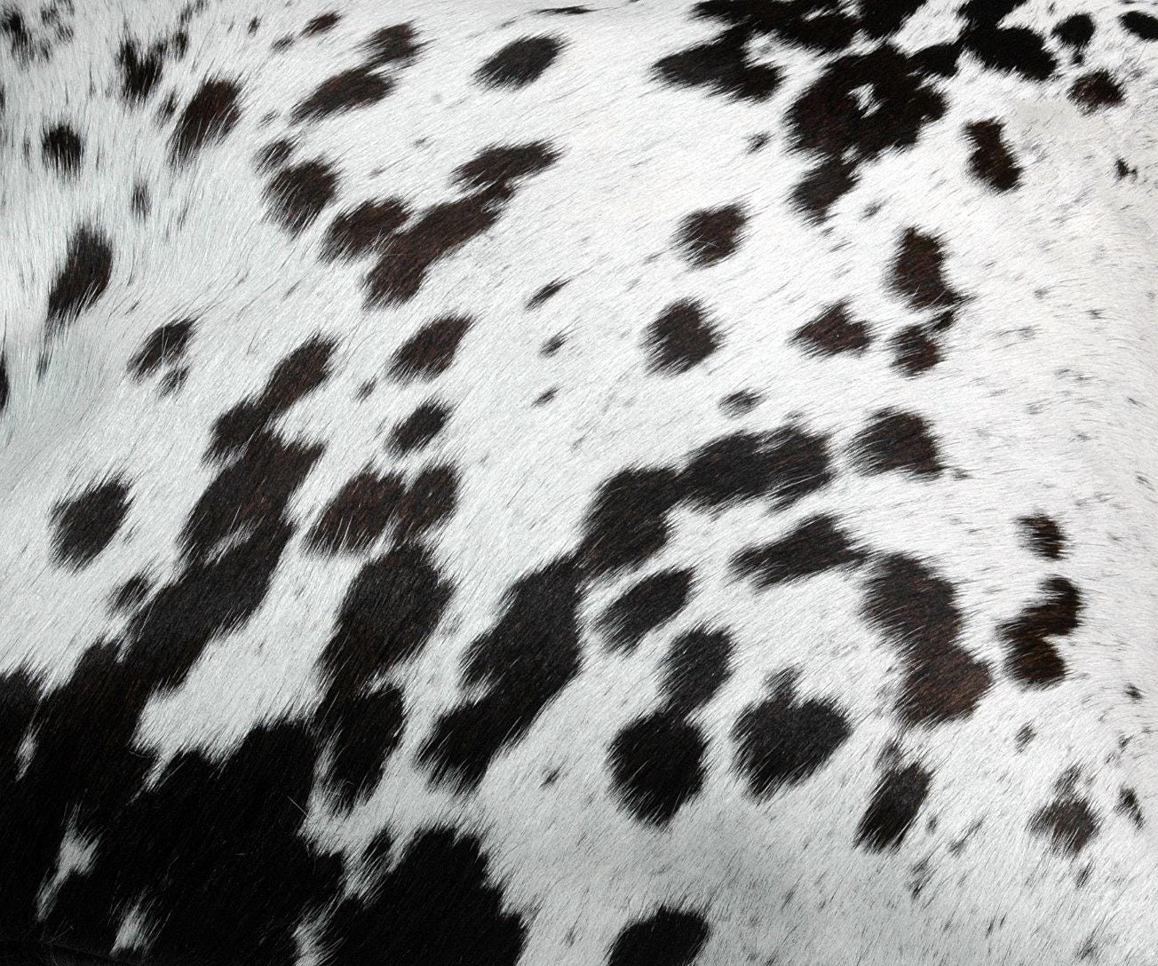 Handmade Genuine Leather Cowhide Cushion Cover Home Decor Accent Exotic Animal Skin Rustic Decorative Pillow