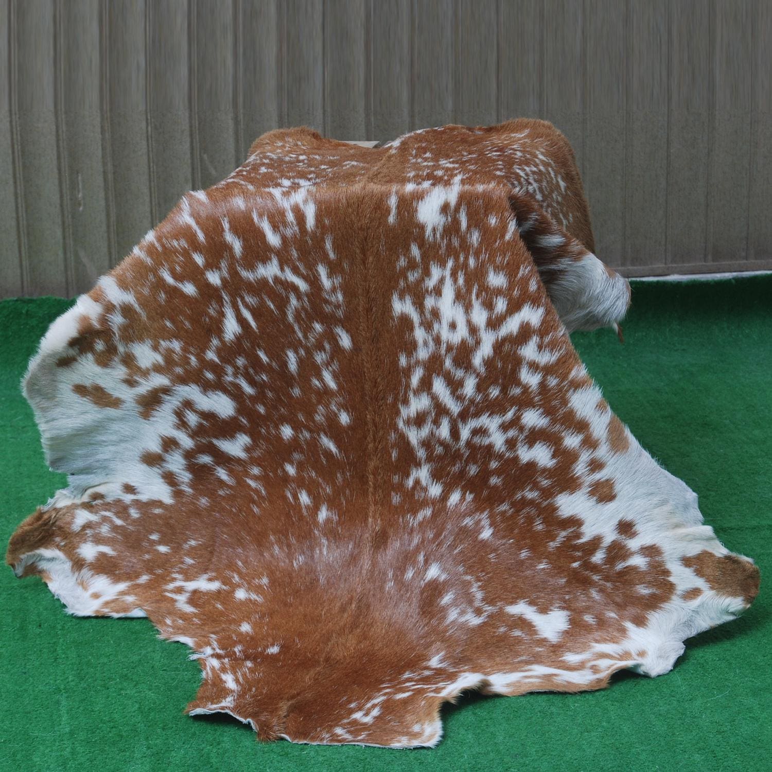 Luxurious Brown & White Premium Goatskin Rug | Handcrafted Hair-On Rug for Timeless Elegance - Sophistication in Any Room - Celestial Leather Limited