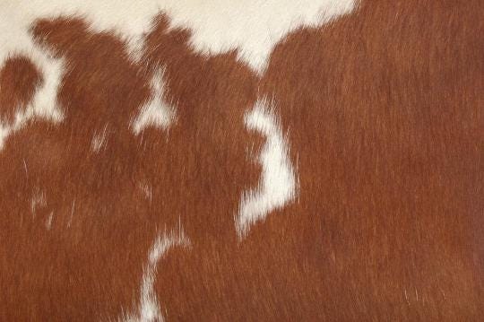 Rustic Charm Genuine Cowhide Cushion Cover - Stylish Eco-Friendly Leather Hairy Pillow Case for Home Decor - Exotic Animal Skin Design