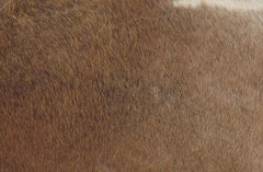 Luxurious Genuine Cowhide Cushion Cover - Exotic Leather Animal Skin Home Decor - Brown & White Hair-On Leather Pillow Cover