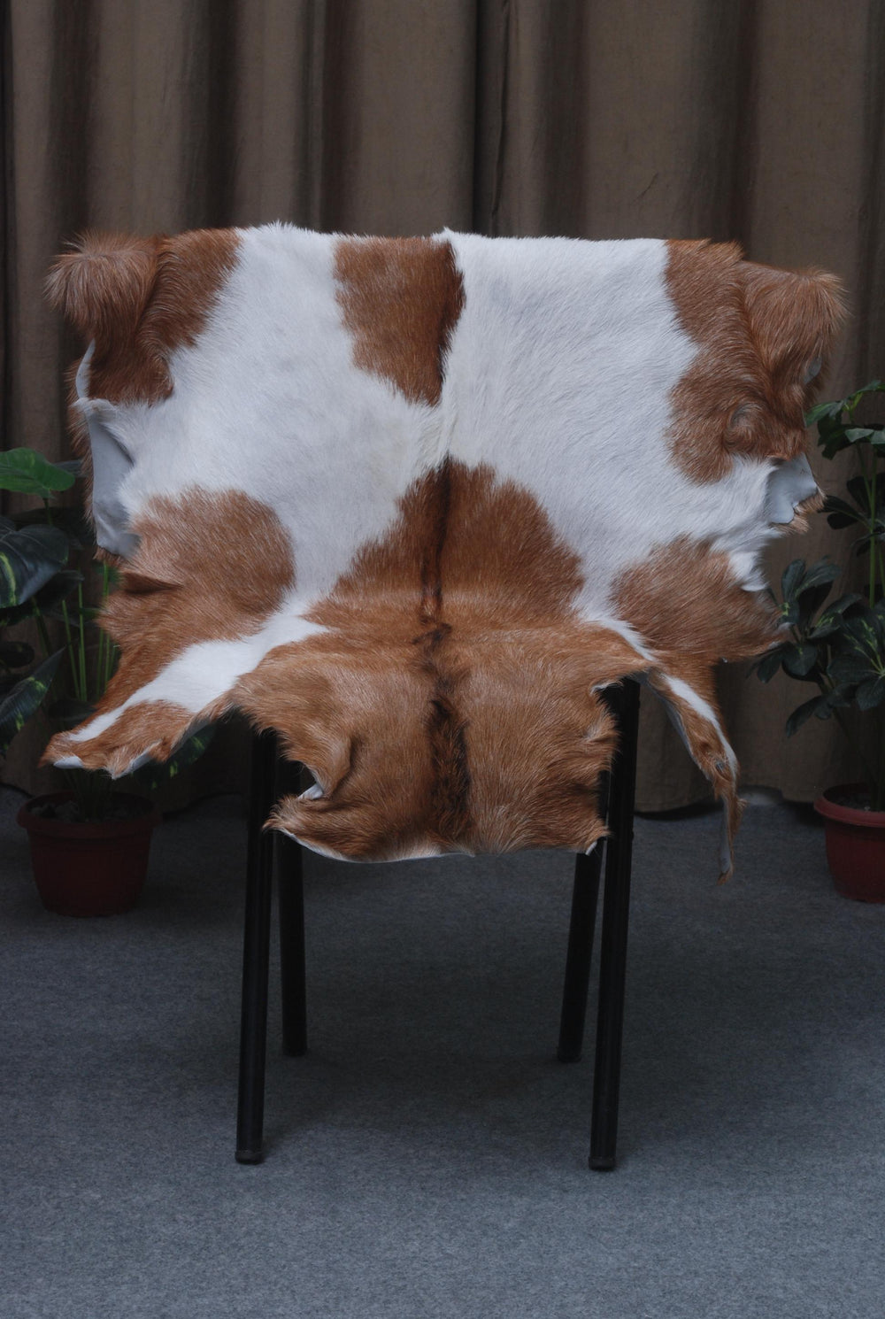 Luxurious Brown White Goat Skin Rug - Soft, Durable & Eco-Friendly - Perfect for Kids - Pets - Hypoallergenic - Non-Slip Suede Back - Celestial Leather Limited