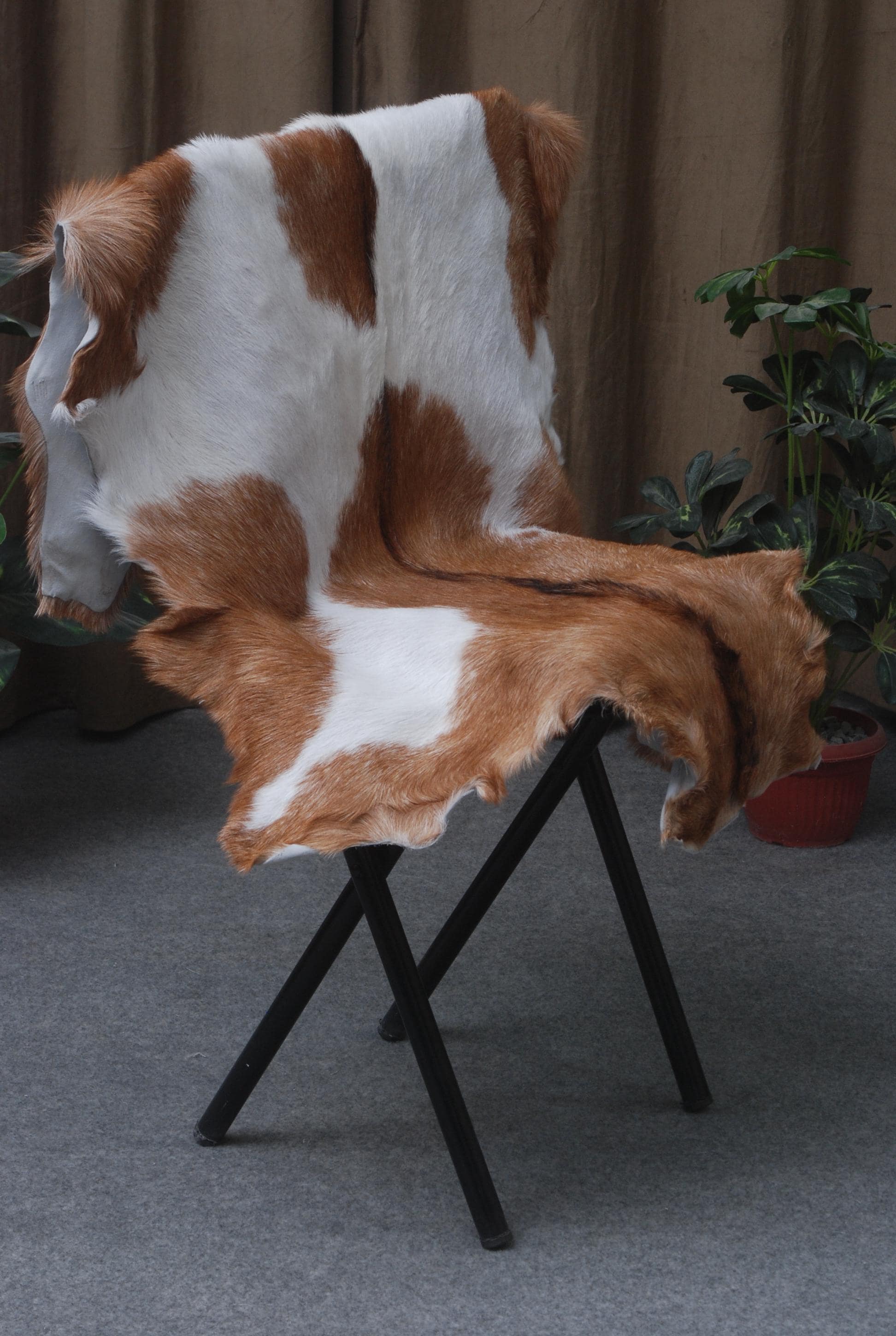 Luxurious Brown White Goat Skin Rug - Soft, Durable & Eco-Friendly - Perfect for Kids - Pets - Hypoallergenic - Non-Slip Suede Back - Celestial Leather Limited