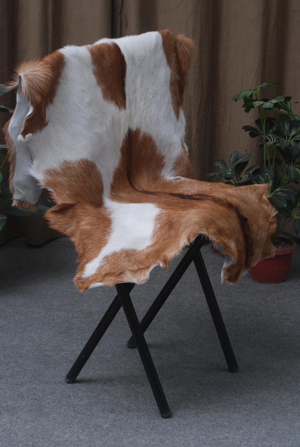 Luxurious Brown White Goat Skin Rug - Soft, Durable & Eco-Friendly - Perfect for Kids - Pets - Hypoallergenic - Non-Slip Suede Back - Celestial Leather Limited