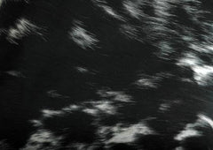 Luxurious Cowhide Cushion Cover - Stylish Genuine Leather Hairy Decor for Home - Eco-Friendly Exotic Animal Skin Pillow Cover