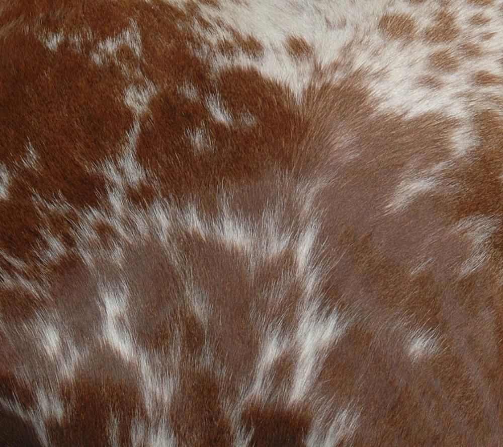 Luxurious Handmade Brown and White Cowhide Cushion Cover with Faux Leather Back - Celestial Leather Limited