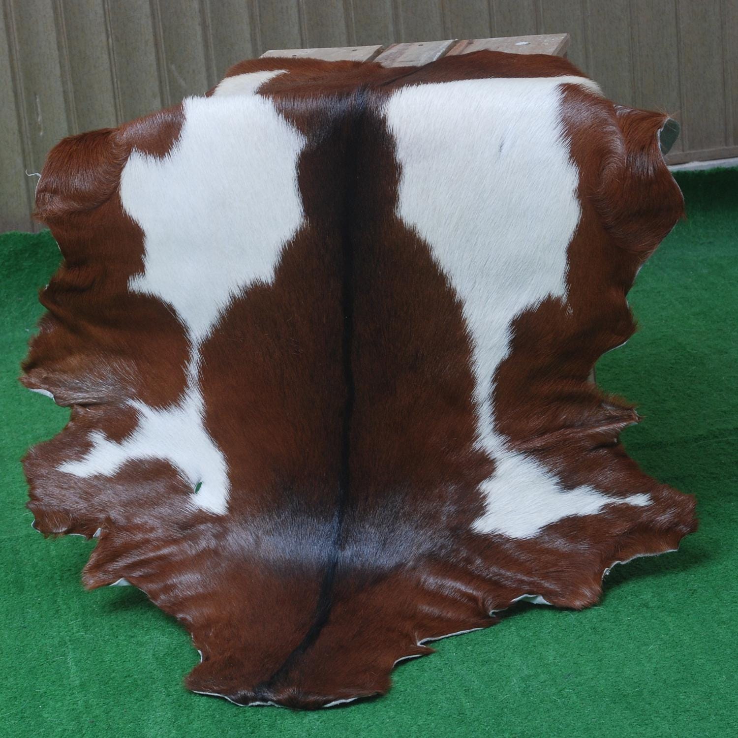Luxurious Brown & White Hair-on Goat Skin Rug - Premium Goat Hide Rug Elegance - Sophistication for Home Décor - Hypoallergenic - Celestial Leather Limited