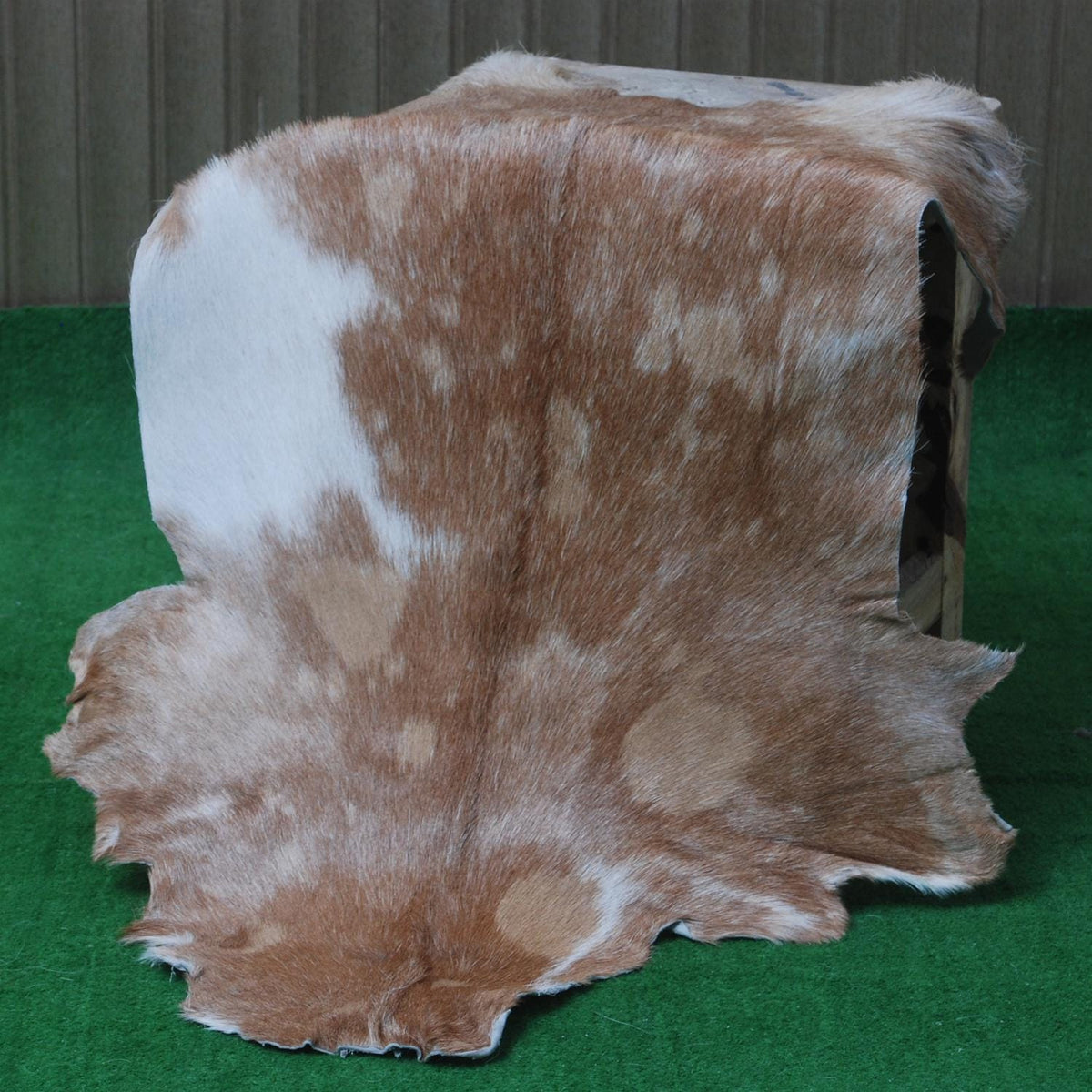 Luxury Brown & White Goat Hide Rug with Natural Variations | Premium Hair-on Goat Skin Rug for Home Décor - Celestial Leather Limited