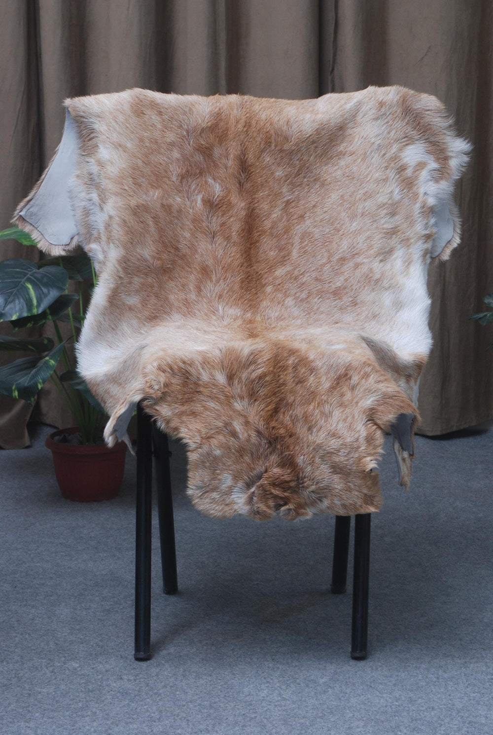 Luxury Brown & White Goat Skin Rug - Premium Quality Handcrafted Natural Goat Hide Rug for Home Decor - Celestial Leather Limited