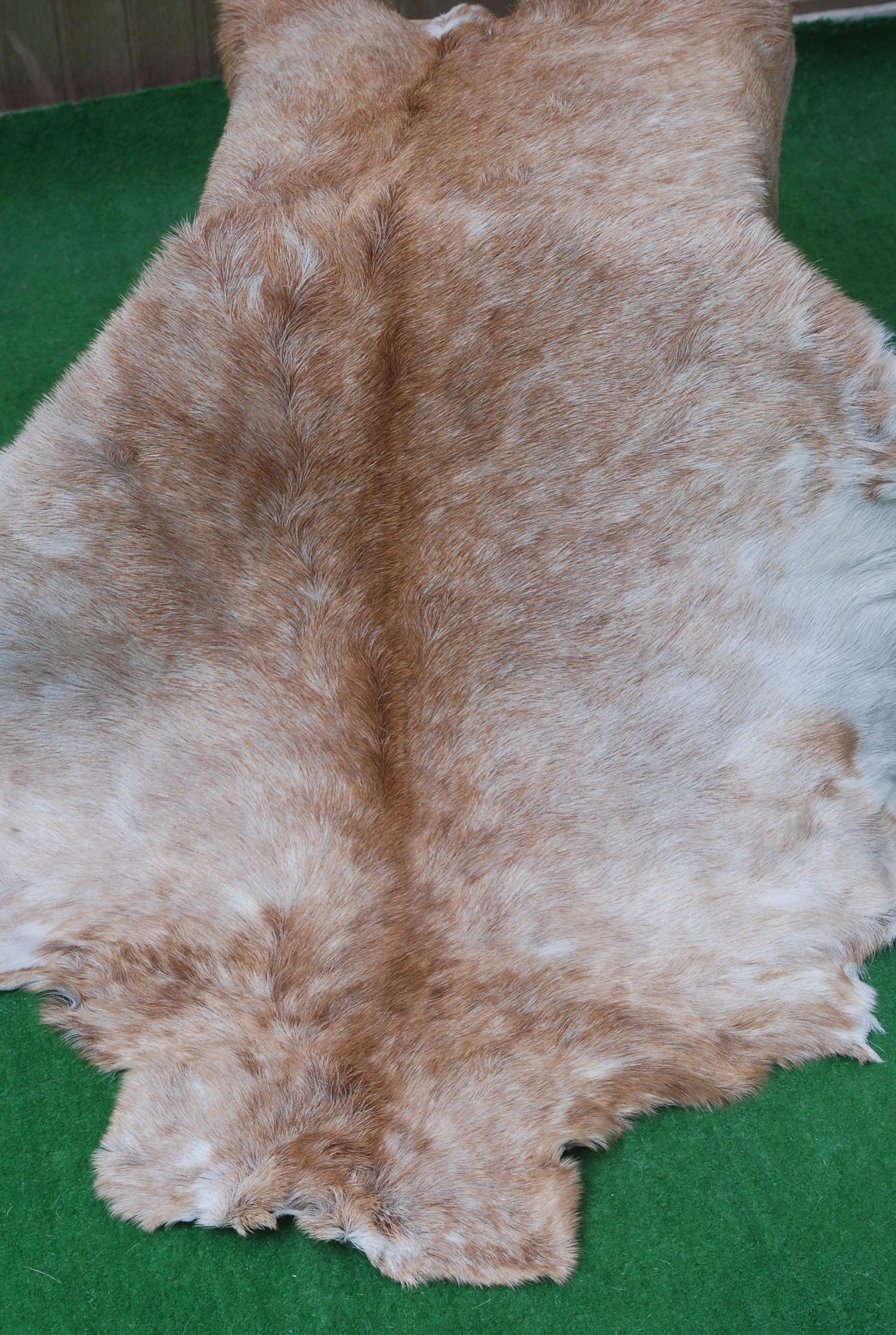 Luxury Brown & White Goat Skin Rug - Premium Quality Handcrafted Natural Goat Hide Rug for Home Decor - Celestial Leather Limited