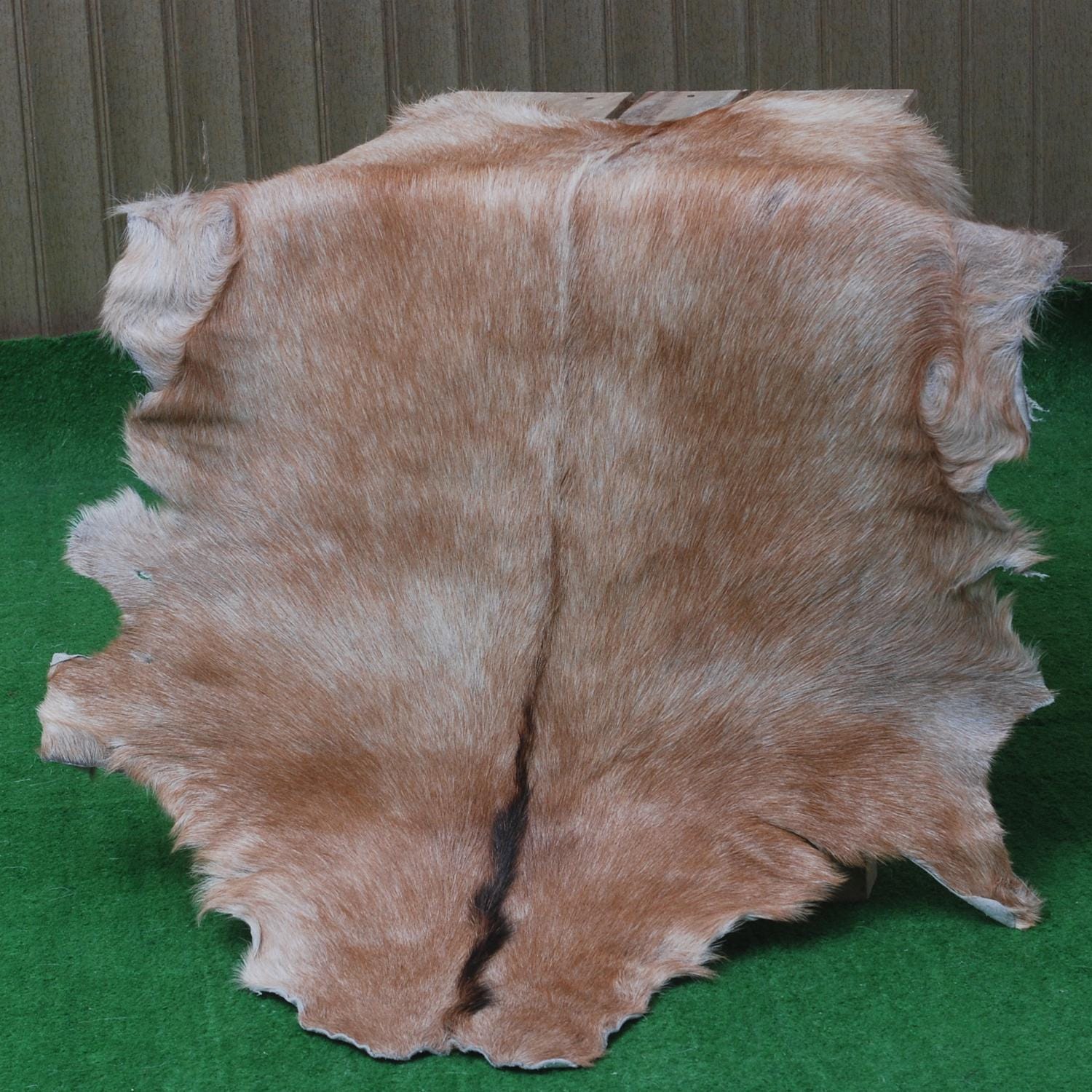 Luxury Brown and White Goat Hide Rug with Unique Patterns | Premium Hair-On Goat Skin Rug for Home Decor