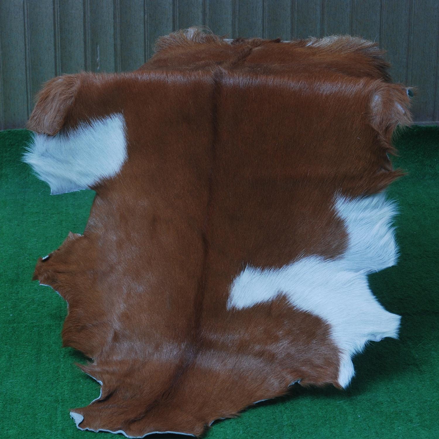 Luxury Brown & White Goat Hide Rug | Premium Hair-On Skin Rug for Home Decor - Celestial Leather Limited