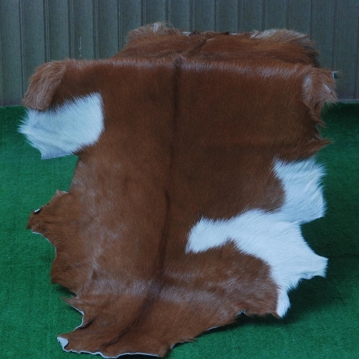 Luxury Brown & White Goat Hide Rug | Premium Hair-On Skin Rug for Home Decor - Celestial Leather Limited