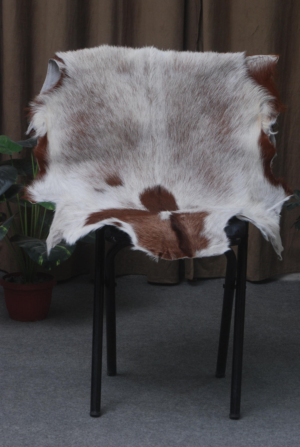 Original Goatskin Hide Brown,  Goat Skin Rug, Goatskin Pelt,  Home Decor Animal Skin Rug,  Bedroom Aesthetic Area Rug,  Brown and White Goat Hide Rug, Goat Skin Rug,  Animal Skin Rug, Real Hair on Hide,  Goal Pelt Rug, Home Decor Rug,  Living Room Area Rug,  Wall Hanging Rug,  Aesthetic Rug,  Leather Rug,  Decorative Rug,  Brown Goatskin Rug,  GoatHide Brown White