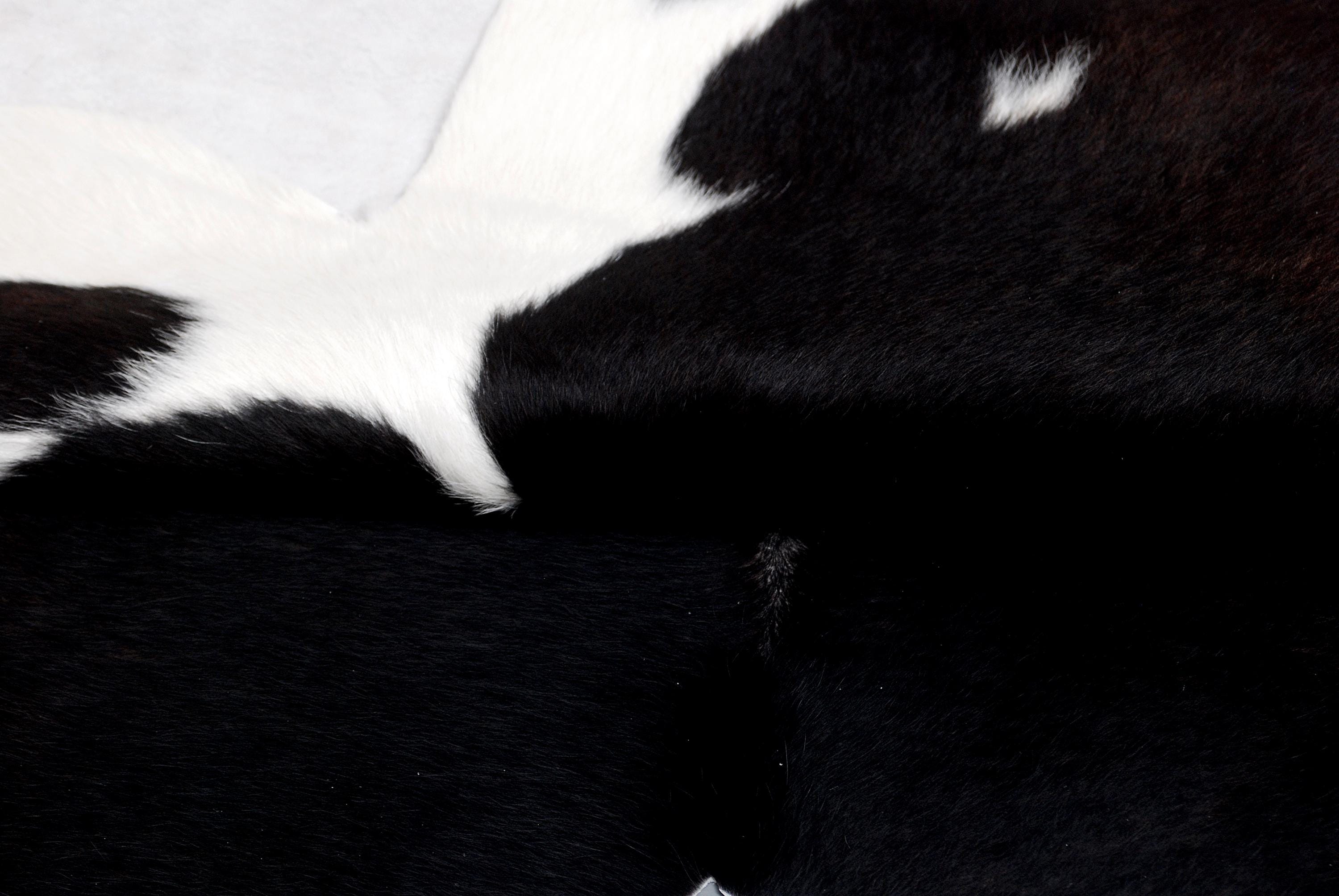 Handcrafted Multicolour Cowhide Rug | Hypoallergenic Small Area Rug with Animal Print | Non-Shedding, Non-Slippery Suede Back | Free