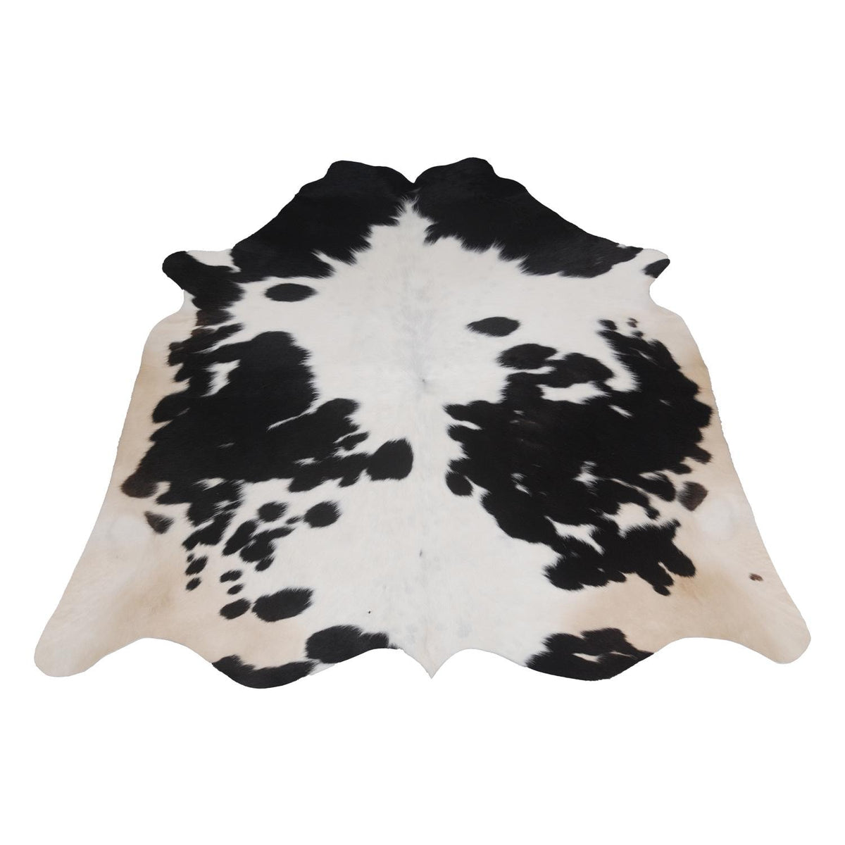 Luxurious Dark Brown & White Cowhide Rug - Medium Size for Modern Home Decor